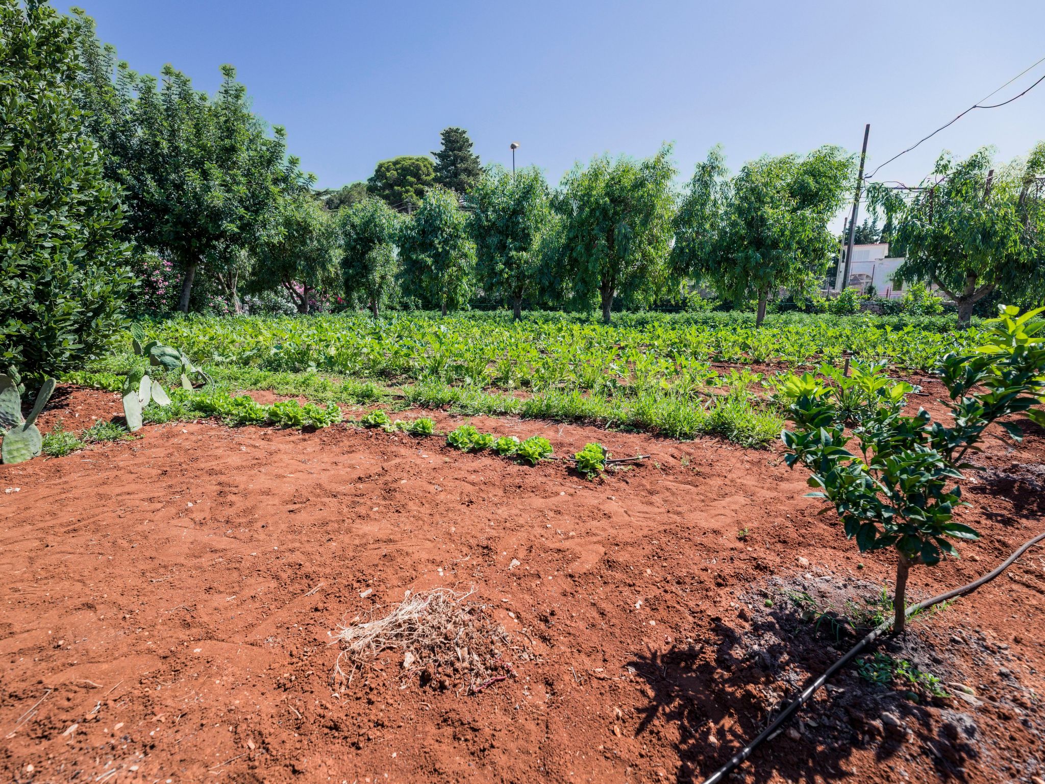 Casal del Borgo 1-Inside