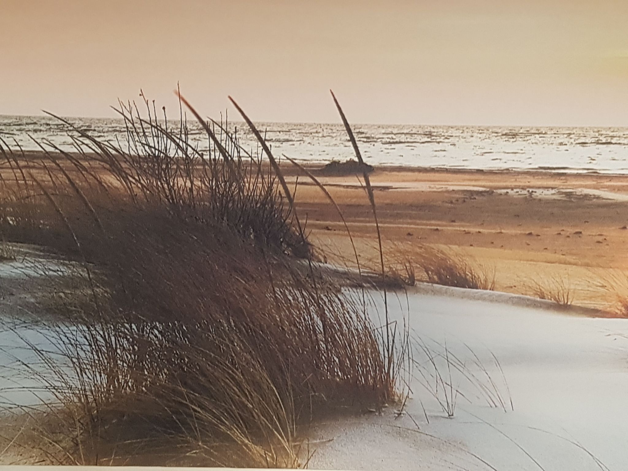La Rosa dei Venti Wohnung-Binnen