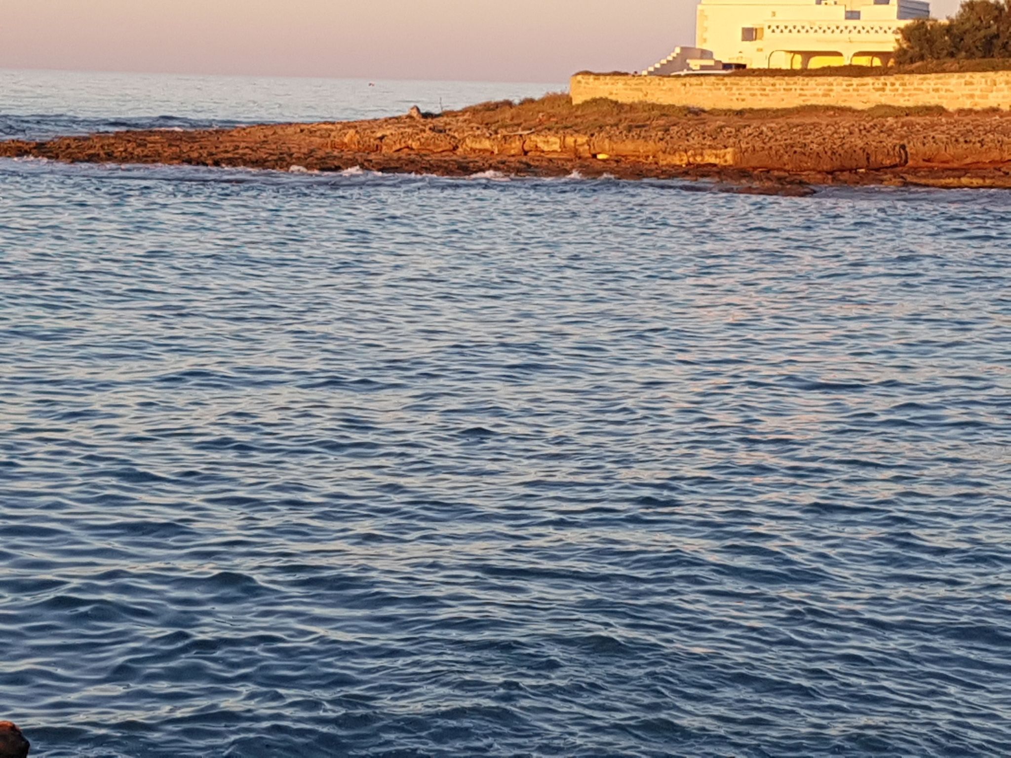 La Rosa dei Venti Wohnung-Binnen