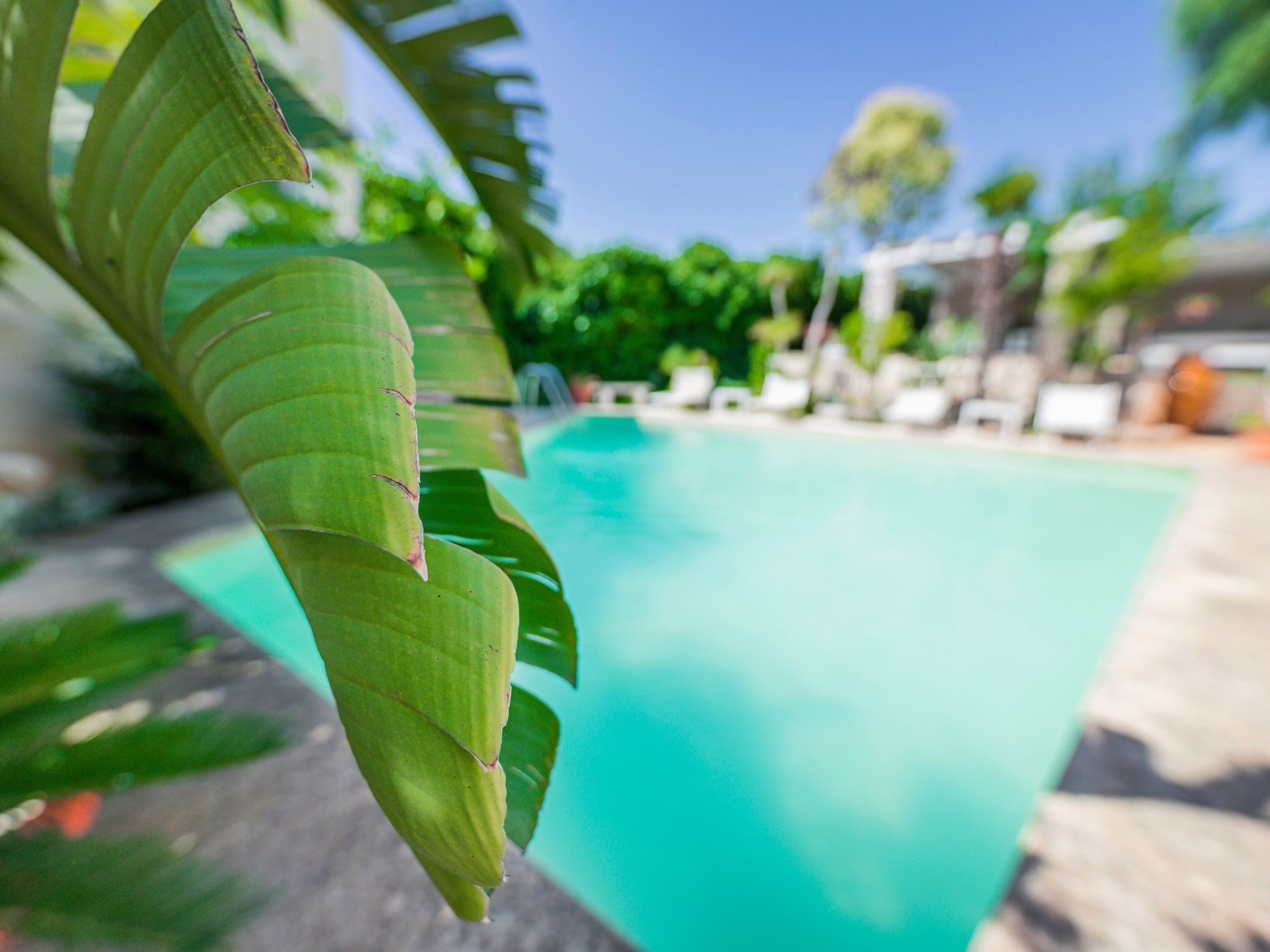 Casal del Borgo 5-Binnen