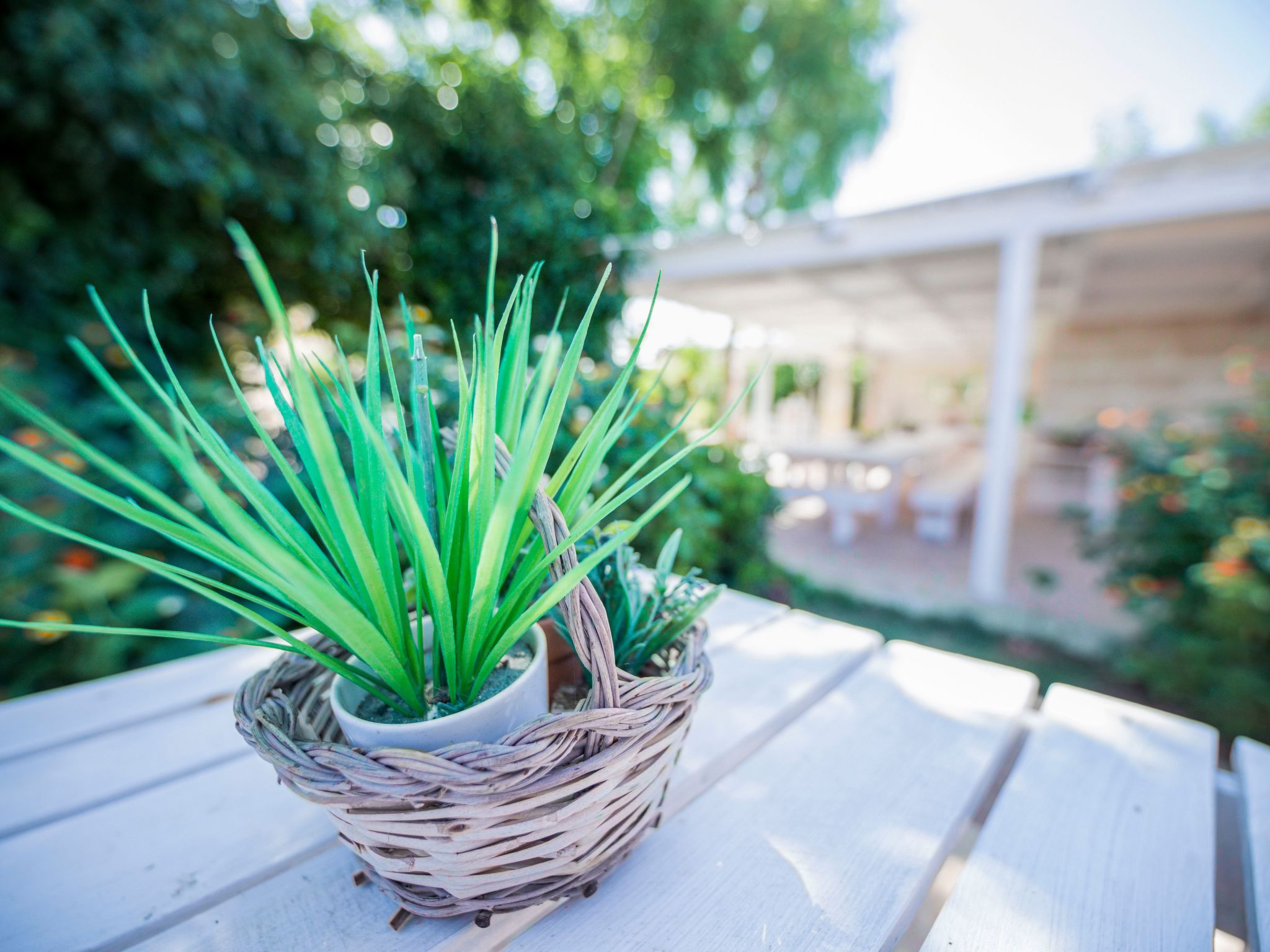 Casal del Borgo 2-Inside