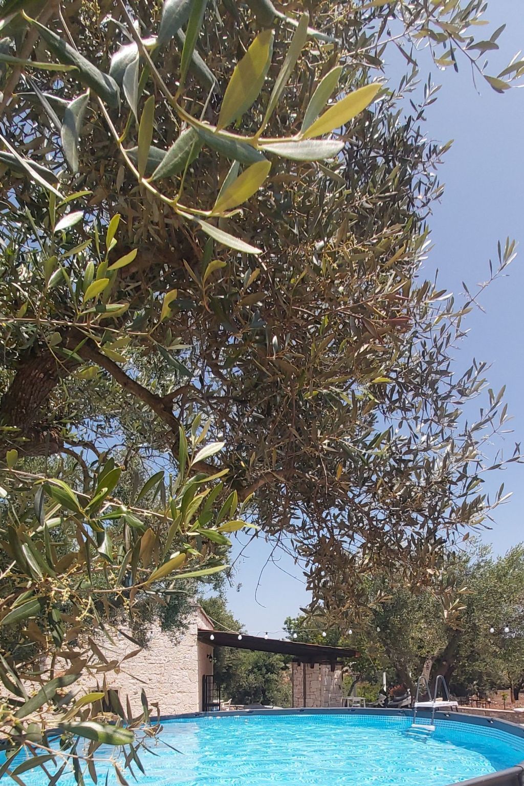 Villa Valle degli Ulivi-Binnen