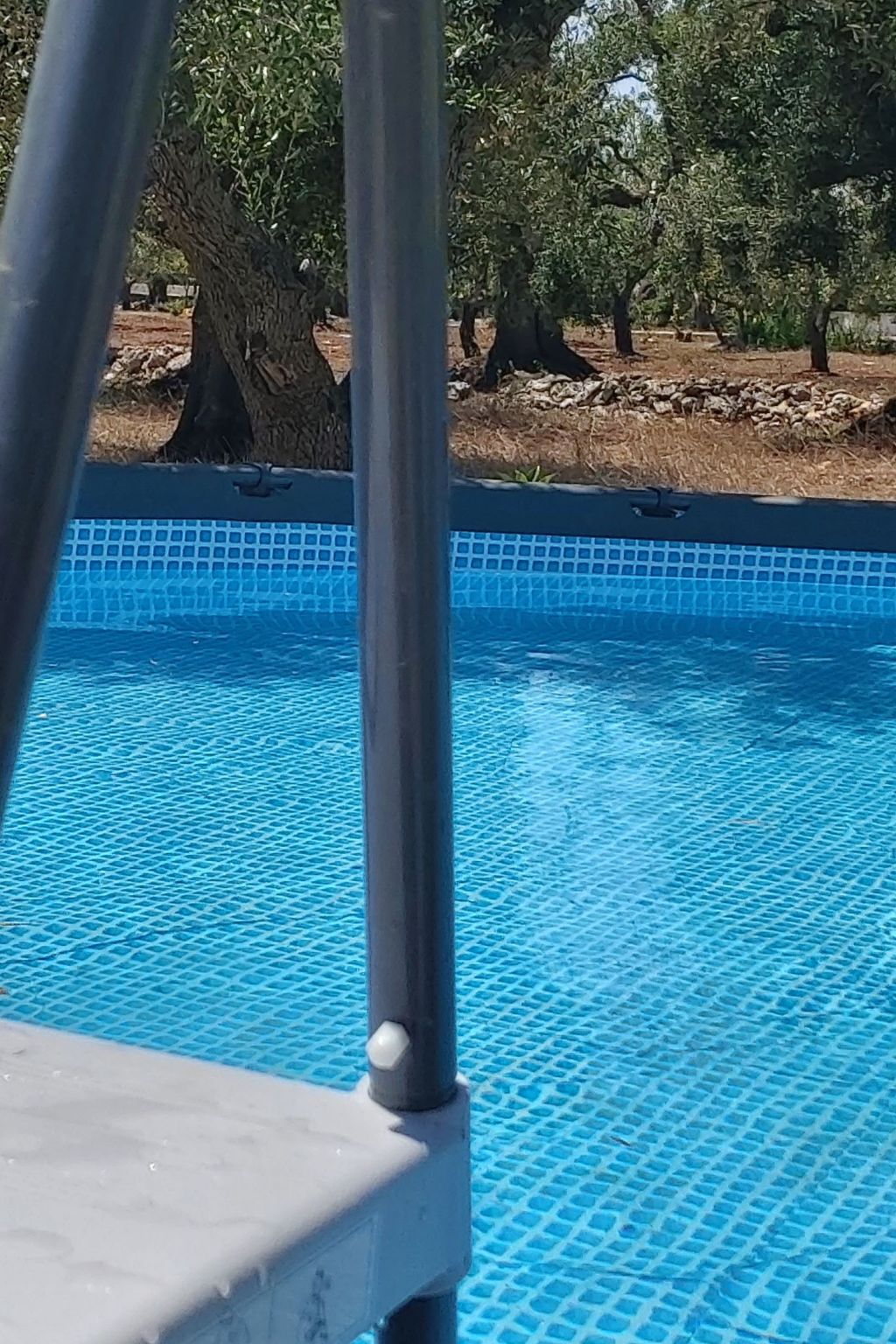 Villa Valle degli Ulivi-Binnen