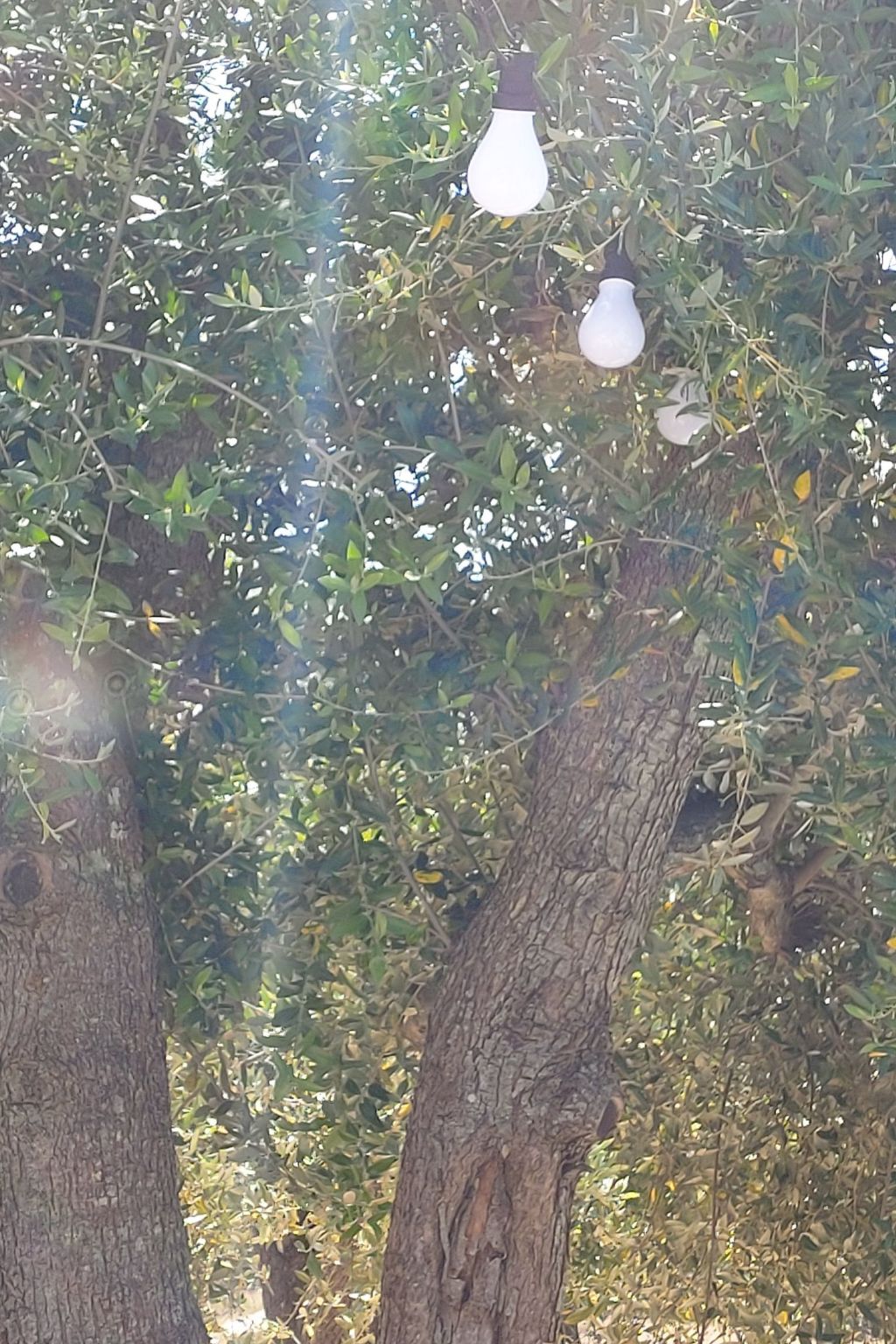 Villa Valle degli Ulivi-Binnen