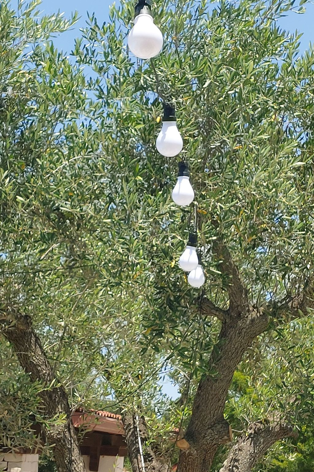 Villa Valle degli Ulivi-Binnen