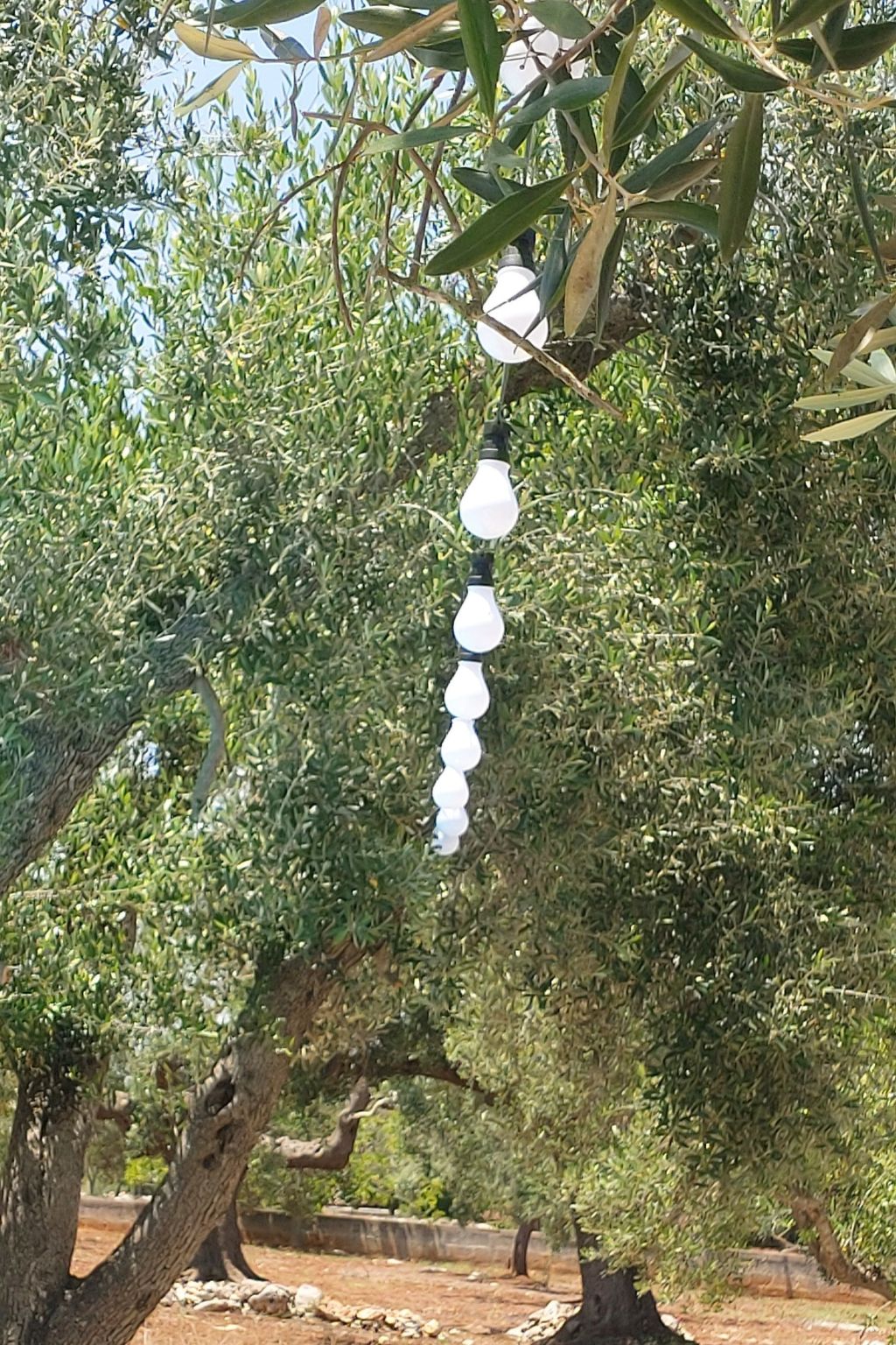 Villa Valle degli Ulivi-Binnen