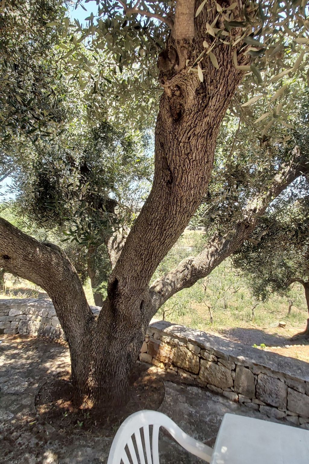 Villa Valle degli Ulivi-Binnen