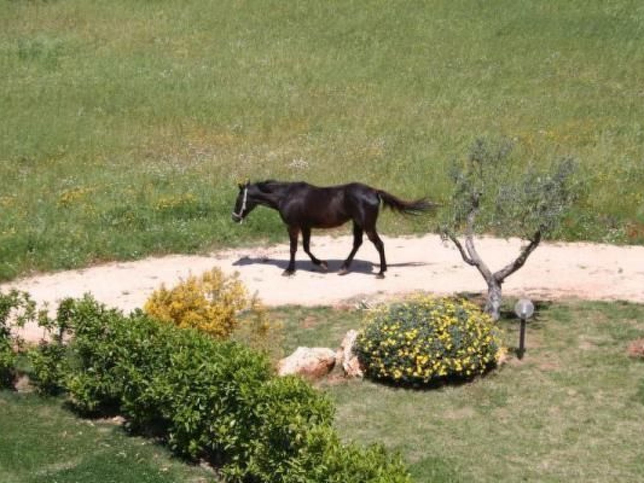 Antike Villa mit privatem Pool, Spa und türkischem Bad-Binnen