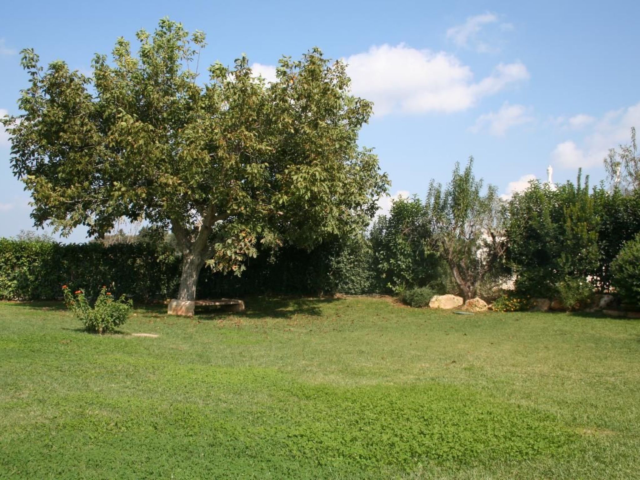 Landhaus in Ostuni mit privatem Pool-Binnen