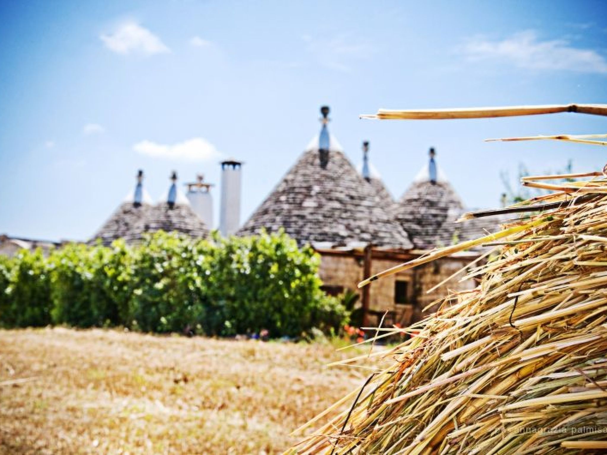 Kirschbaum Trullo, Entspannung und Essen und Wein-Image-tags.info