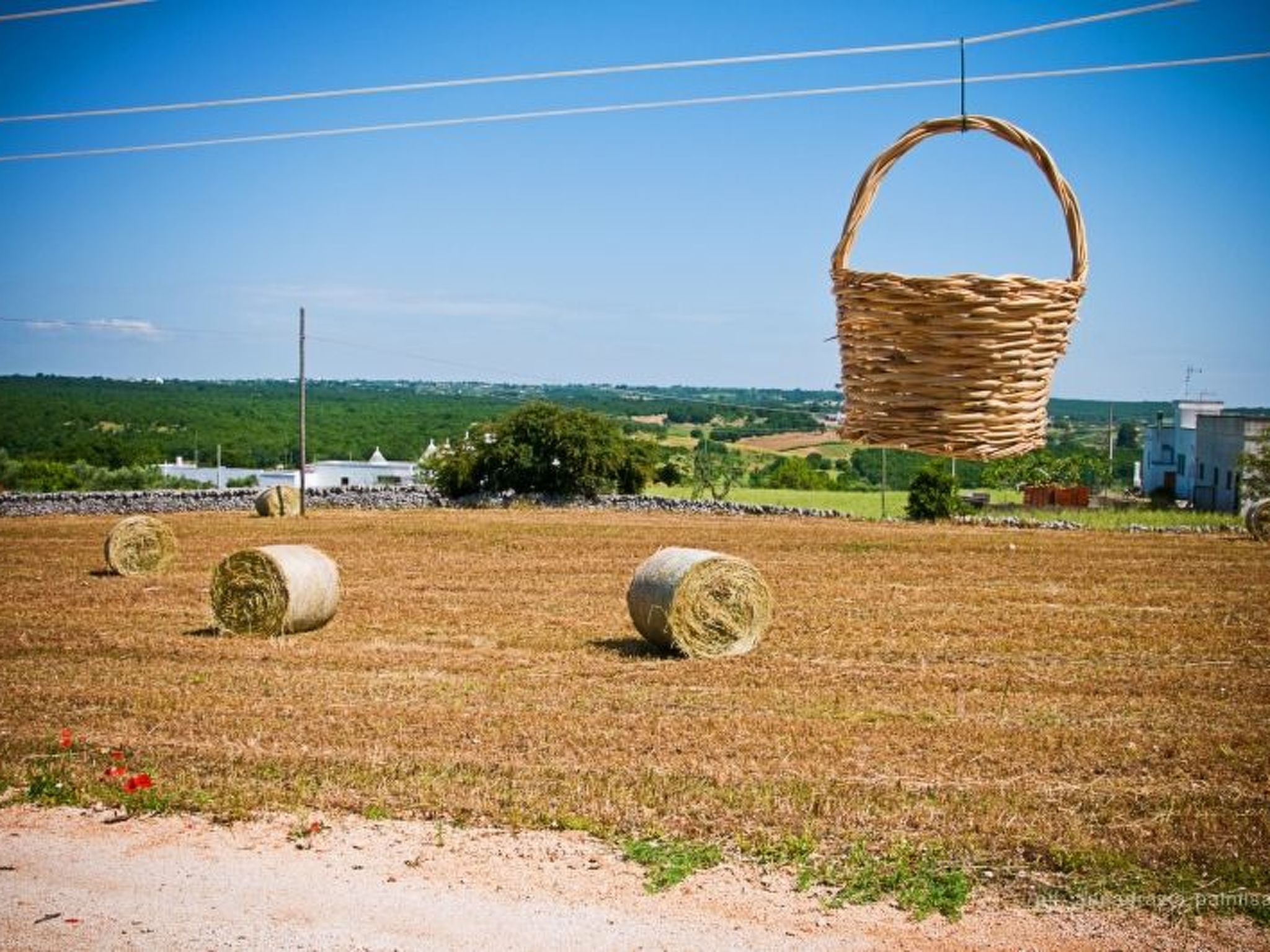 Trullo degli Archi, Entspannung und Essen und Wein-Image-tags.info