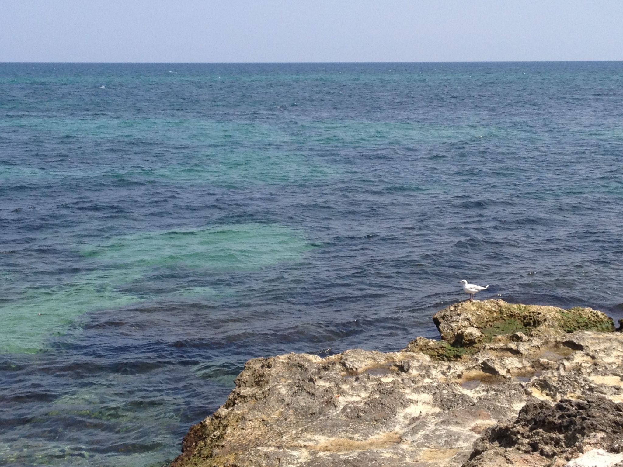 Anwesen mit privatem Garten und Grill