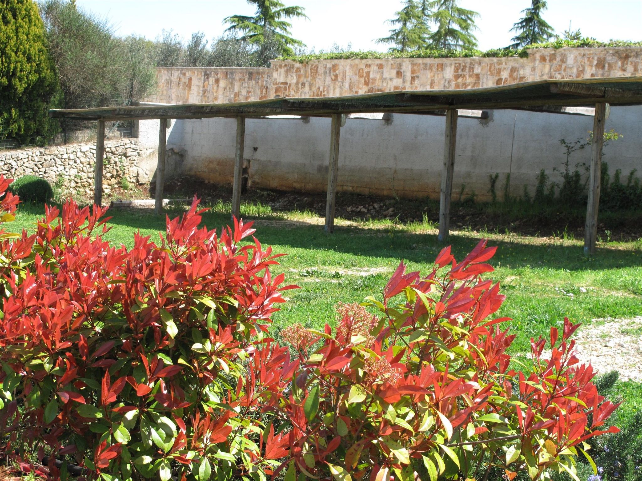 Neue fantastische Casa degli Ulivi privaten Pool-Binnen