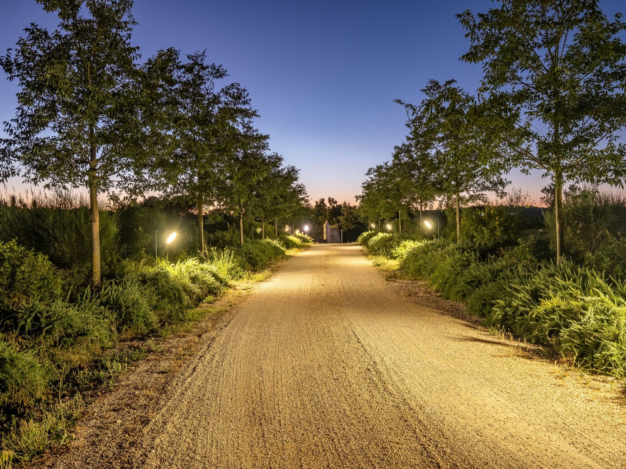 Wohnung auf einem Bauernhof mit Trulli und Schwimmbad-Buiten