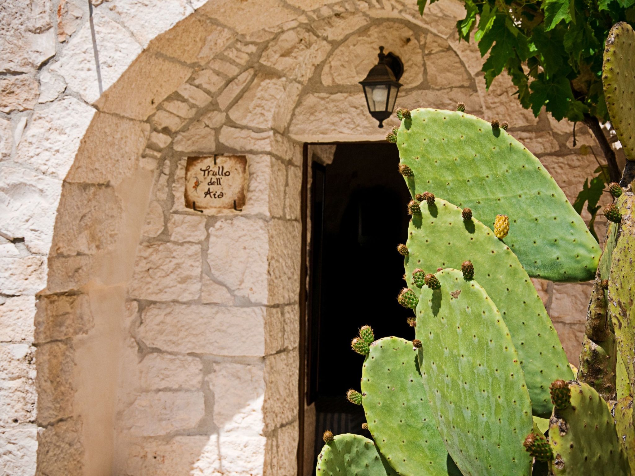 Kirschbaum Trullo, Entspannung und Essen und Wein