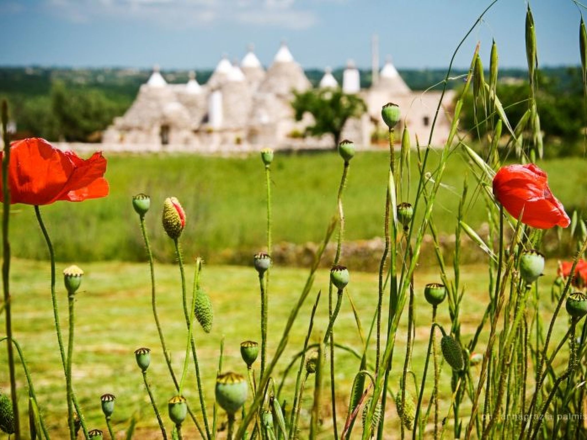 Kirschbaum Trullo, Entspannung und Essen und Wein-Buiten