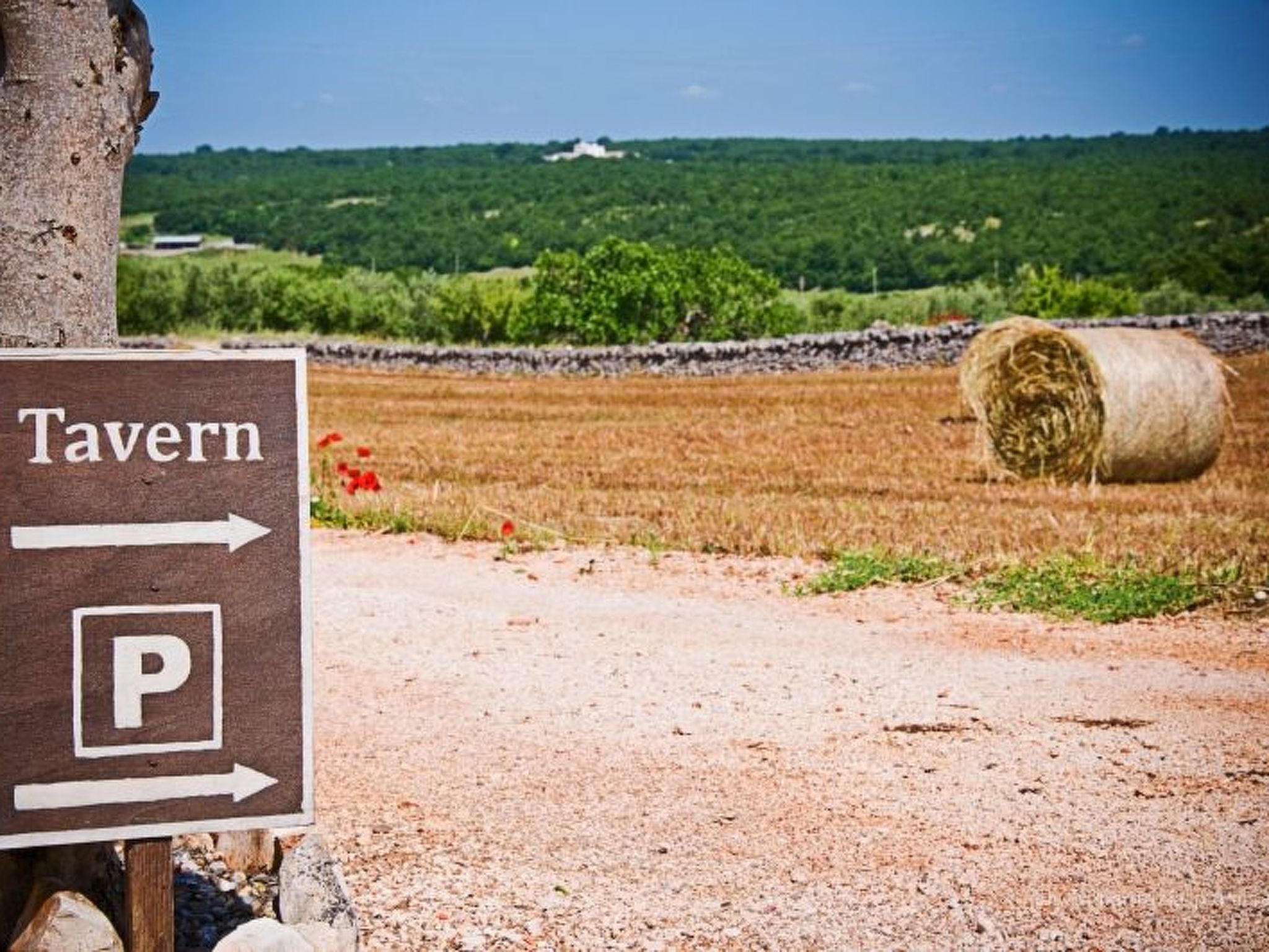 Kirschbaum Trullo, Entspannung und Essen und Wein-Image-tags.info