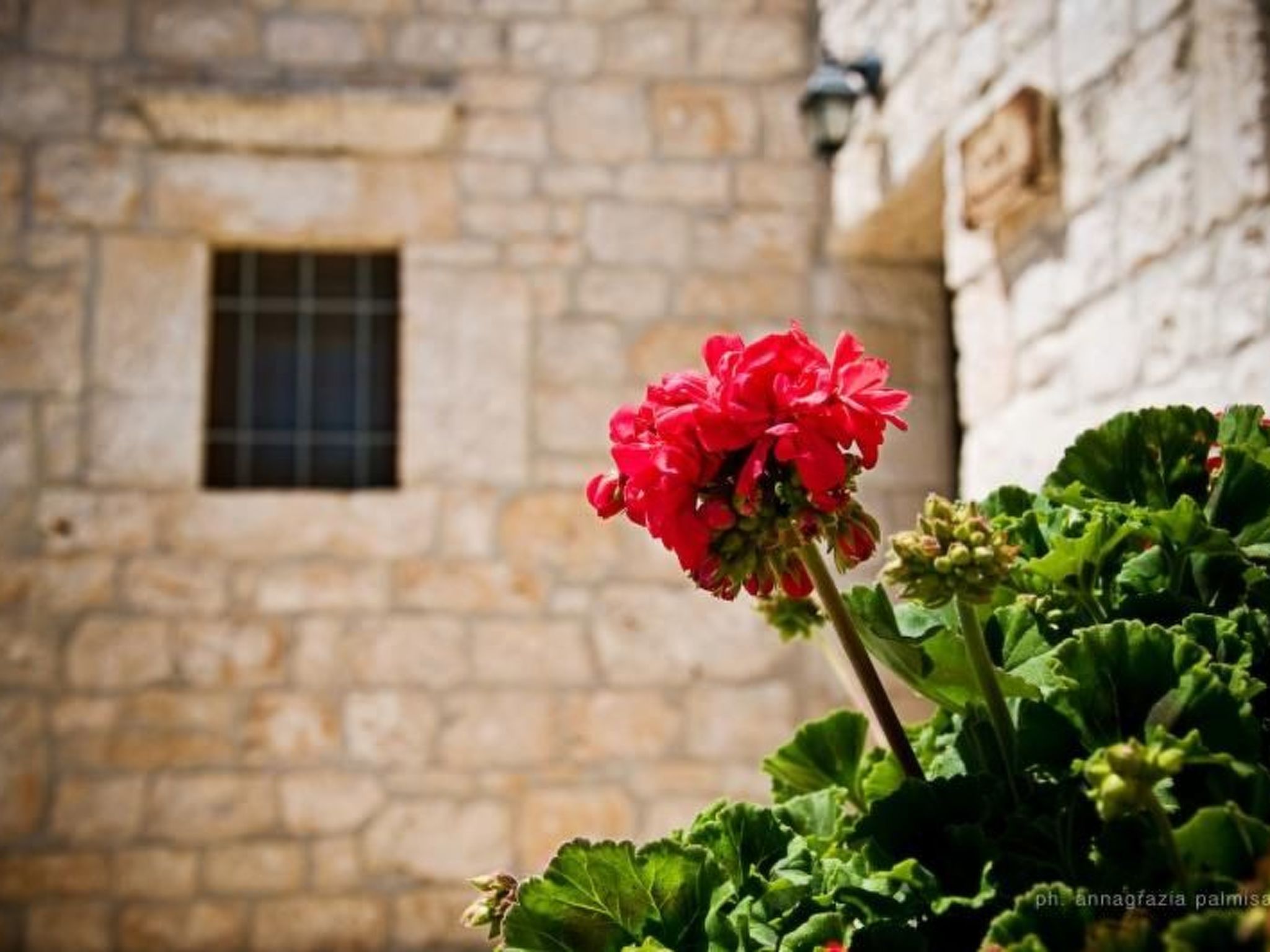 Kirschbaum Trullo, Entspannung und Essen und Wein-Image-tags.info