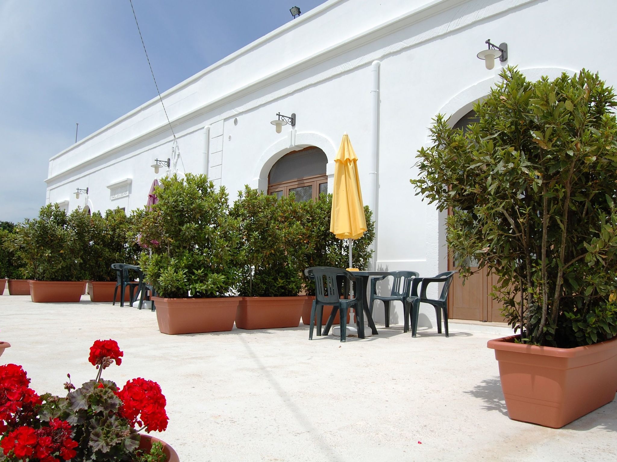 Vakantiehuis in Cisternino (Italië) 1 hond is welkom