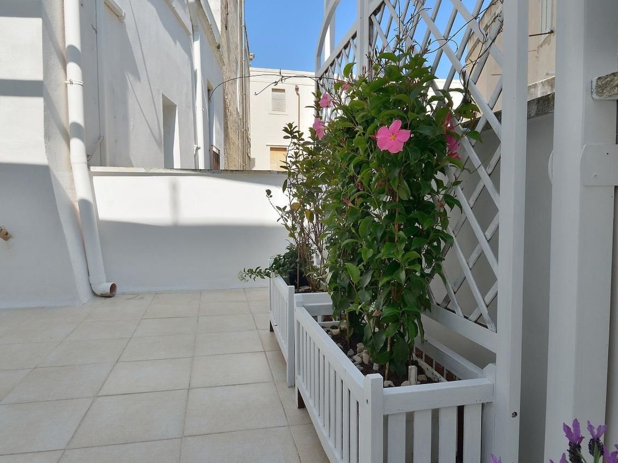 Dimora Libeccio - Haus im historischen Zentrum, nur wenige Schritte vom Meer en — Terrace (3 of 13)