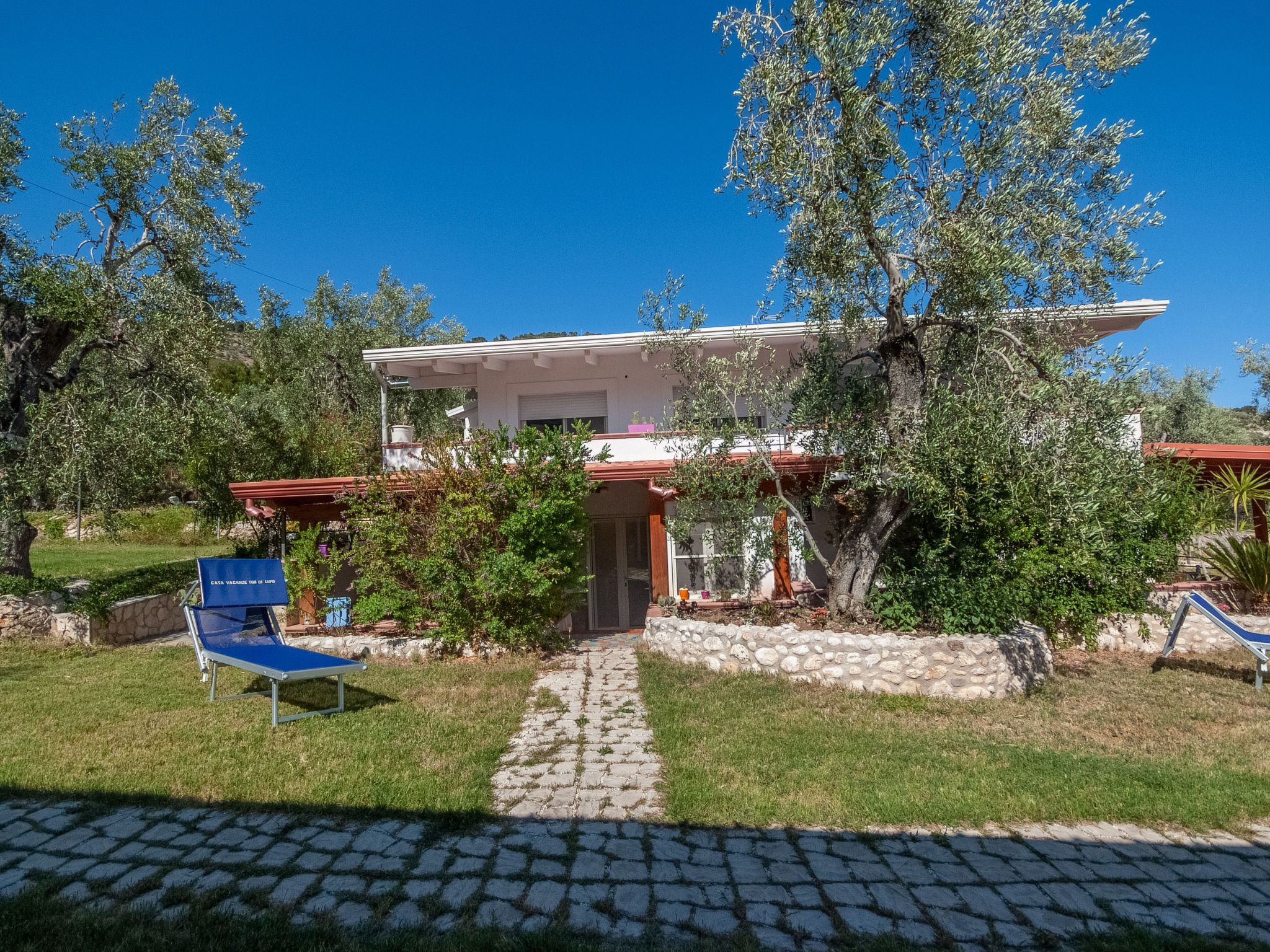 BB Rasierklingen-Bratsche — House (3 of 8)