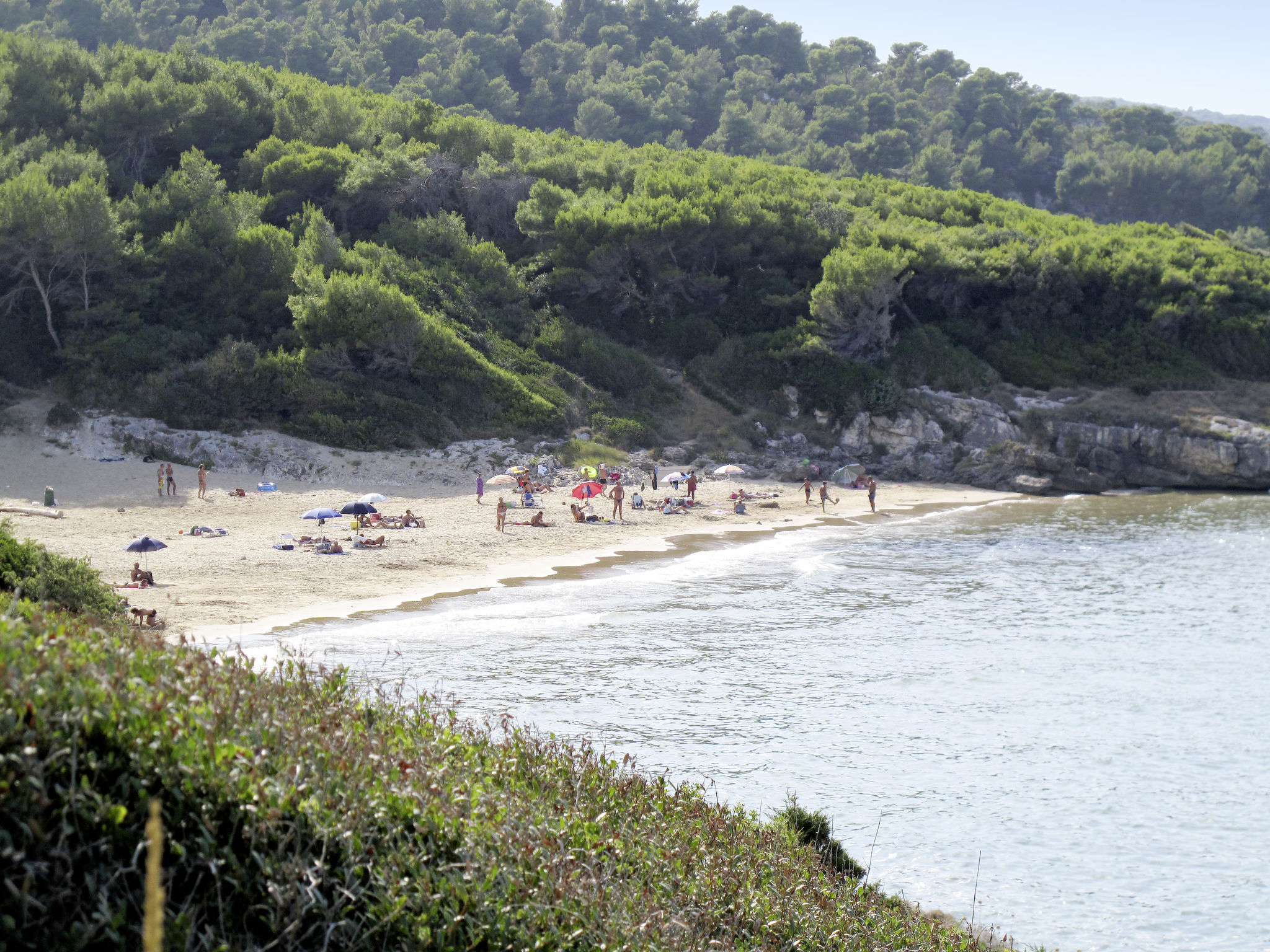 Wohnungen für Ferien am Meer in Vieste Gargano in Apulien - Umgebung