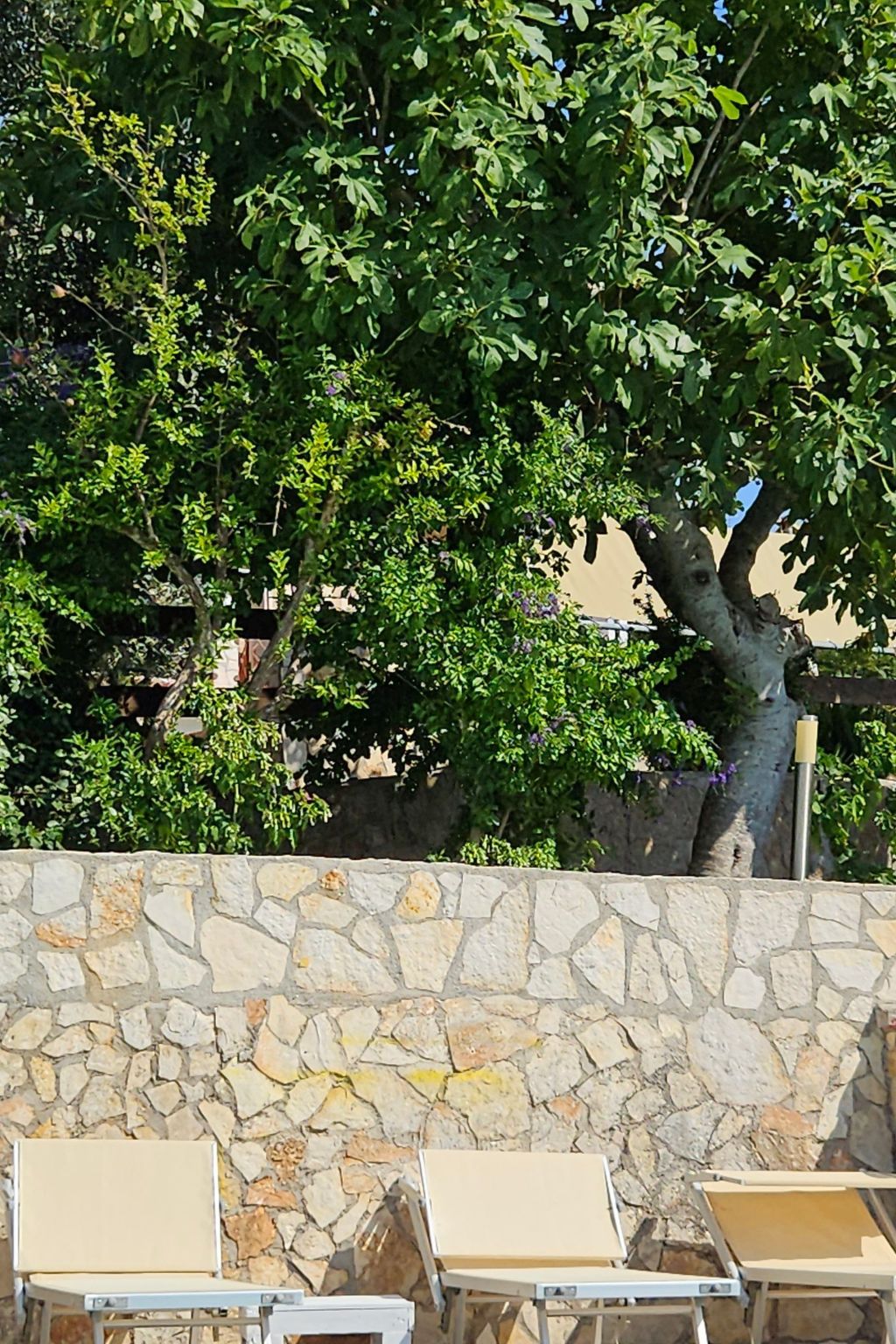 Freistehendes Zwei-Zimmer-Haus-Image-tags.info