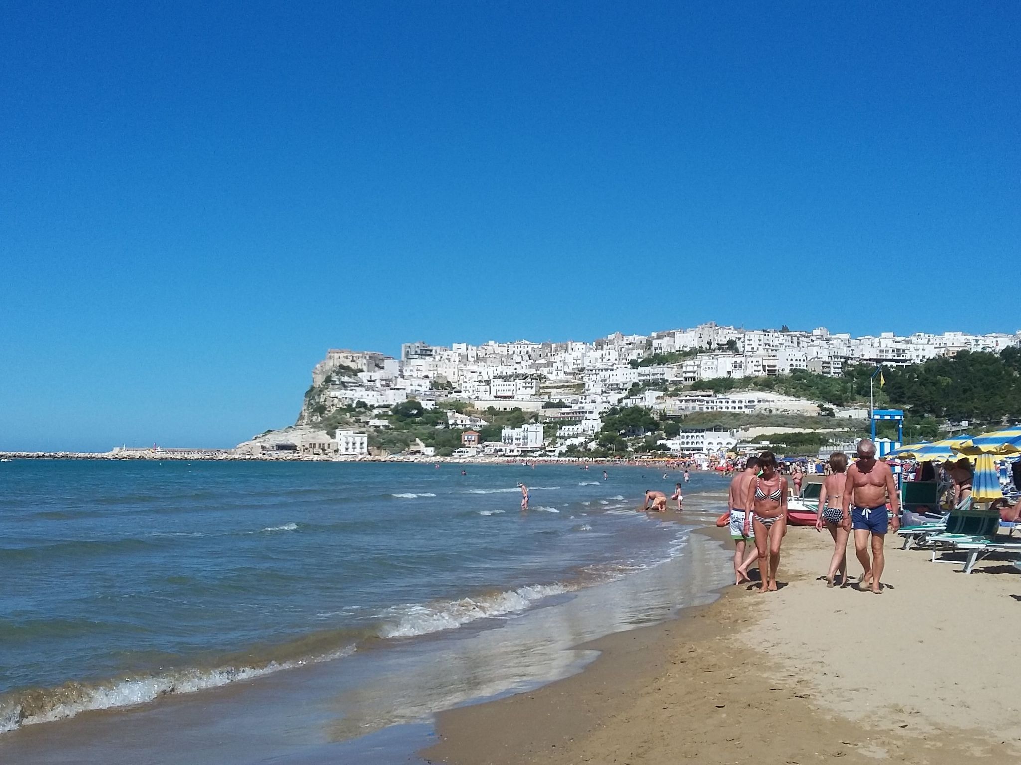 Drei-Zimmer-Wohnung im Erdgeschoss-Image-tags.info