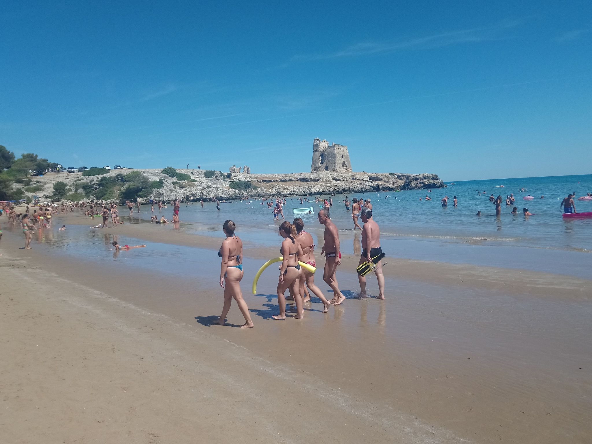 Drei-Zimmer-Wohnung im Erdgeschoss-Image-tags.info