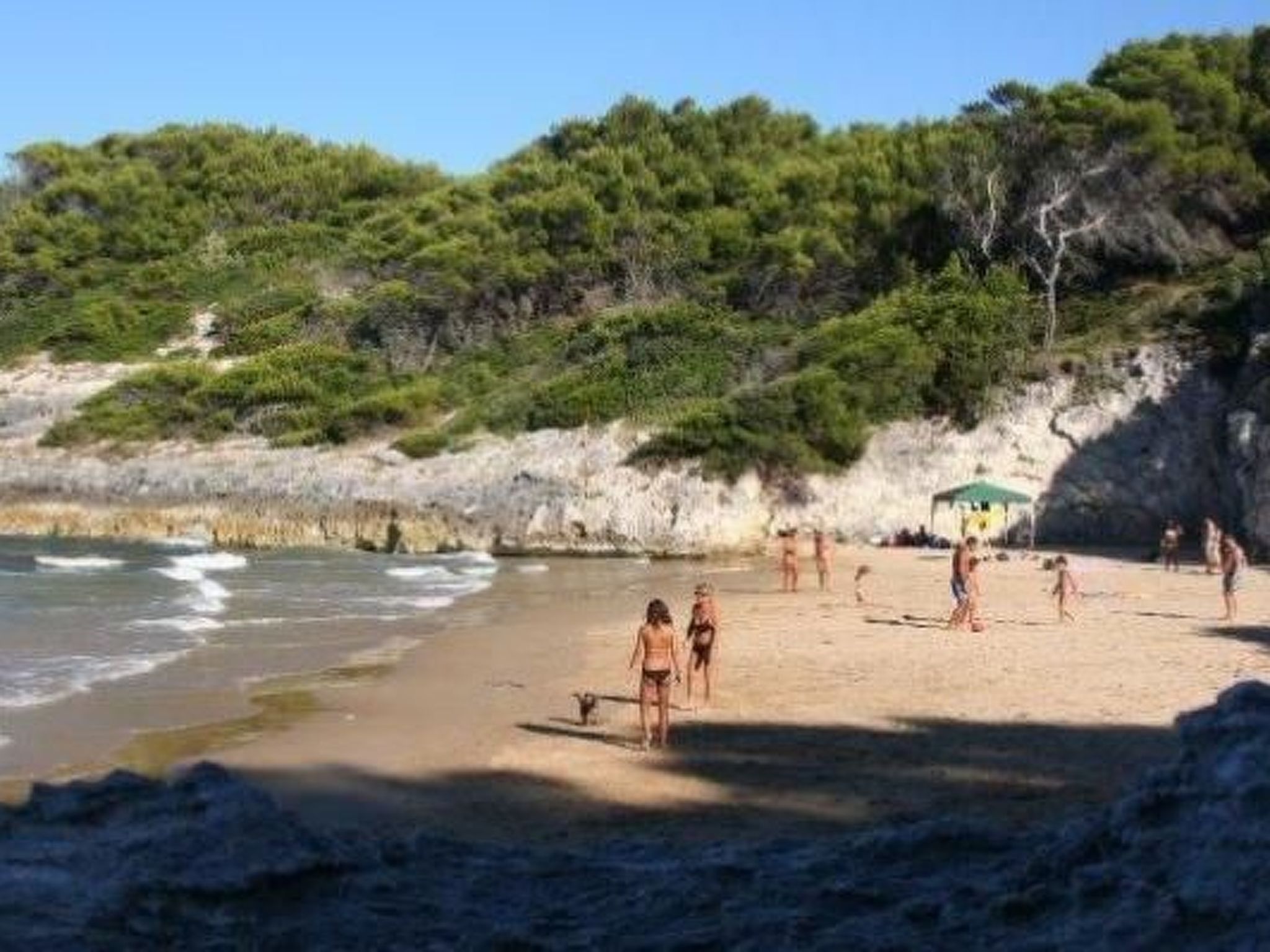 Drei-Zimmer-Wohnung im Erdgeschoss-Image-tags.info