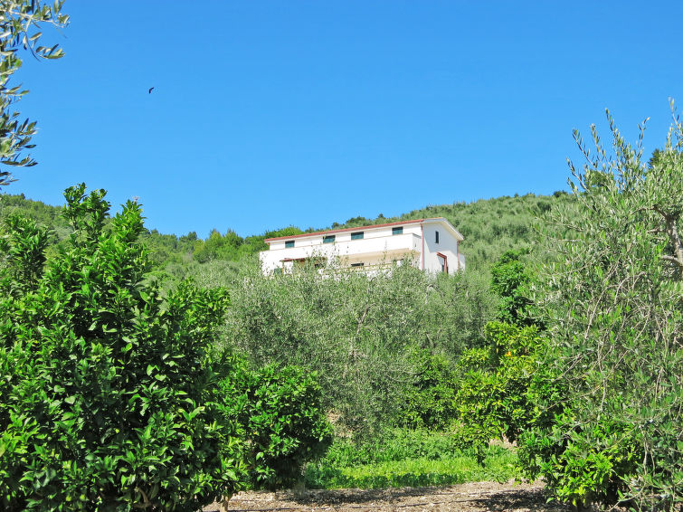 Photo of Villa Taglione (PES250)