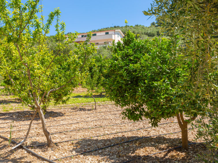 Photo of Villa Tavaglione