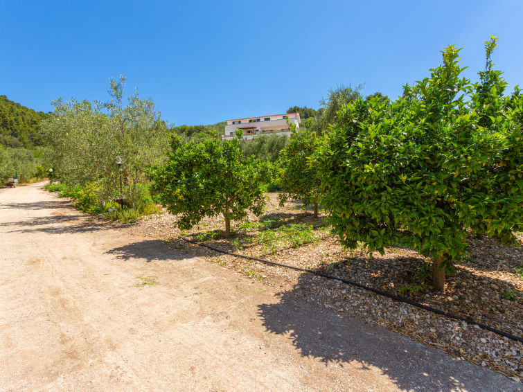 Photo of Villa Tavaglione