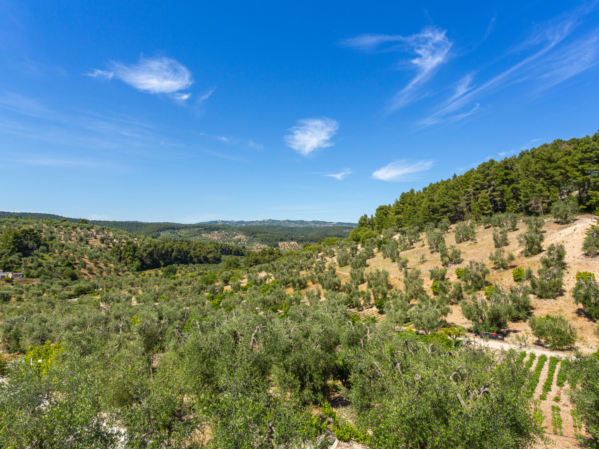 Photo of Villa Tavaglione