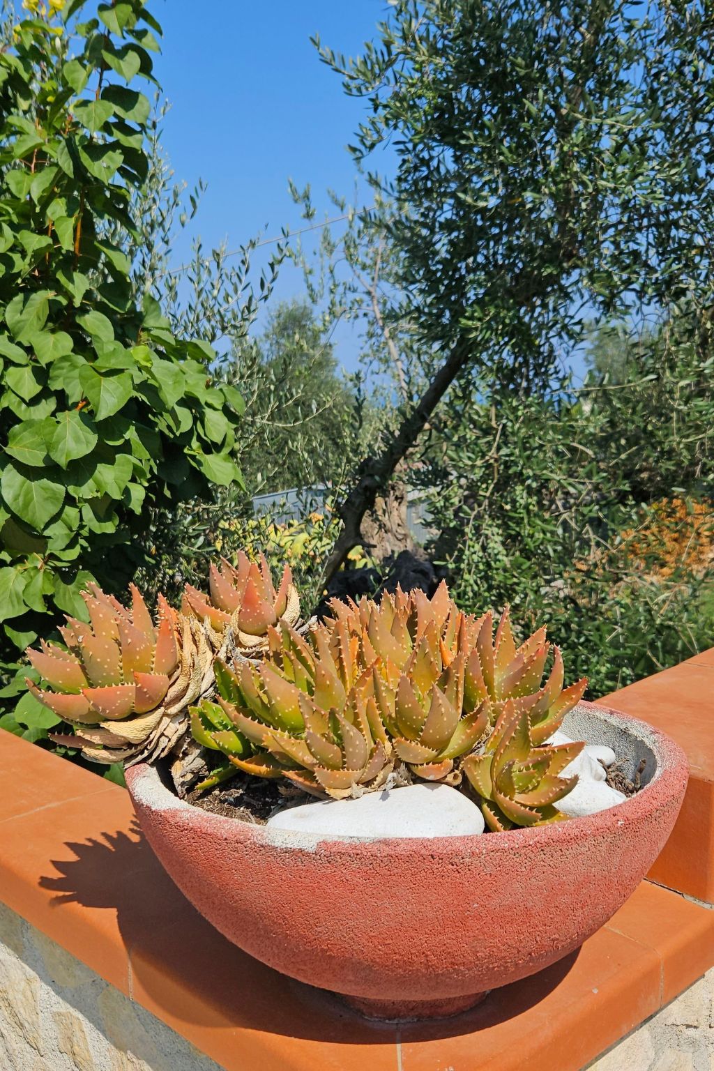 Brandneue Wohnung in Villa mit Schwimmbad-Image-tags.info