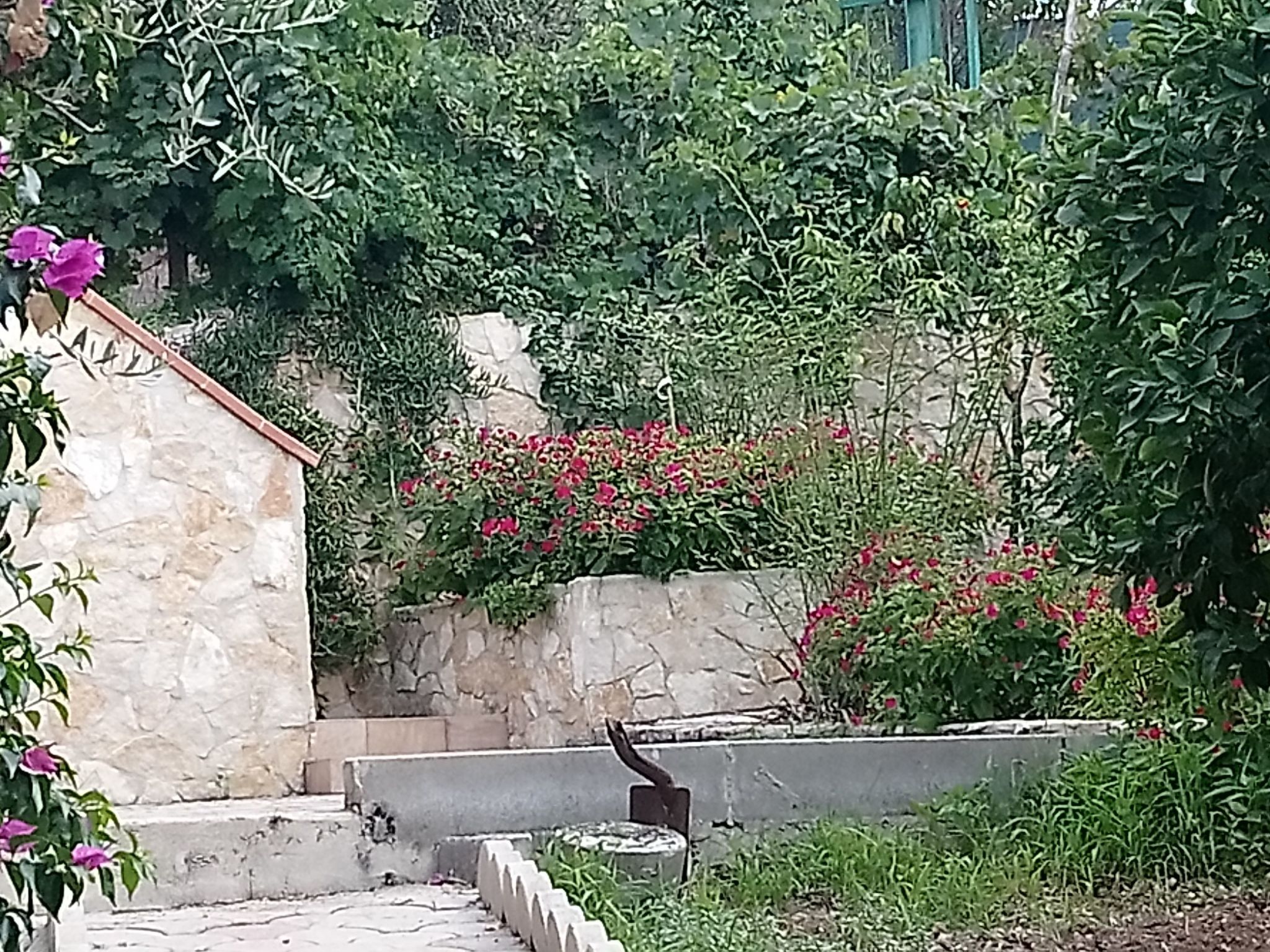 Zwei-Zimmer-Ferienhaus 11 in der Residenz Liberato Peschici-Image-tags.info