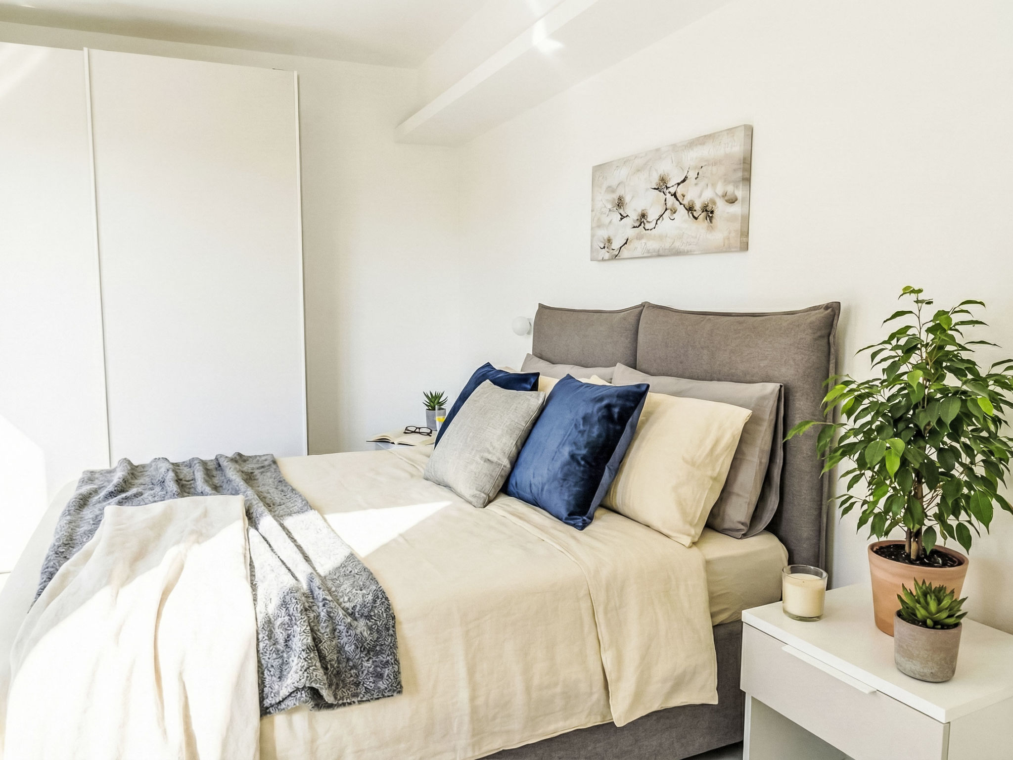 Photo of Nereide Blu