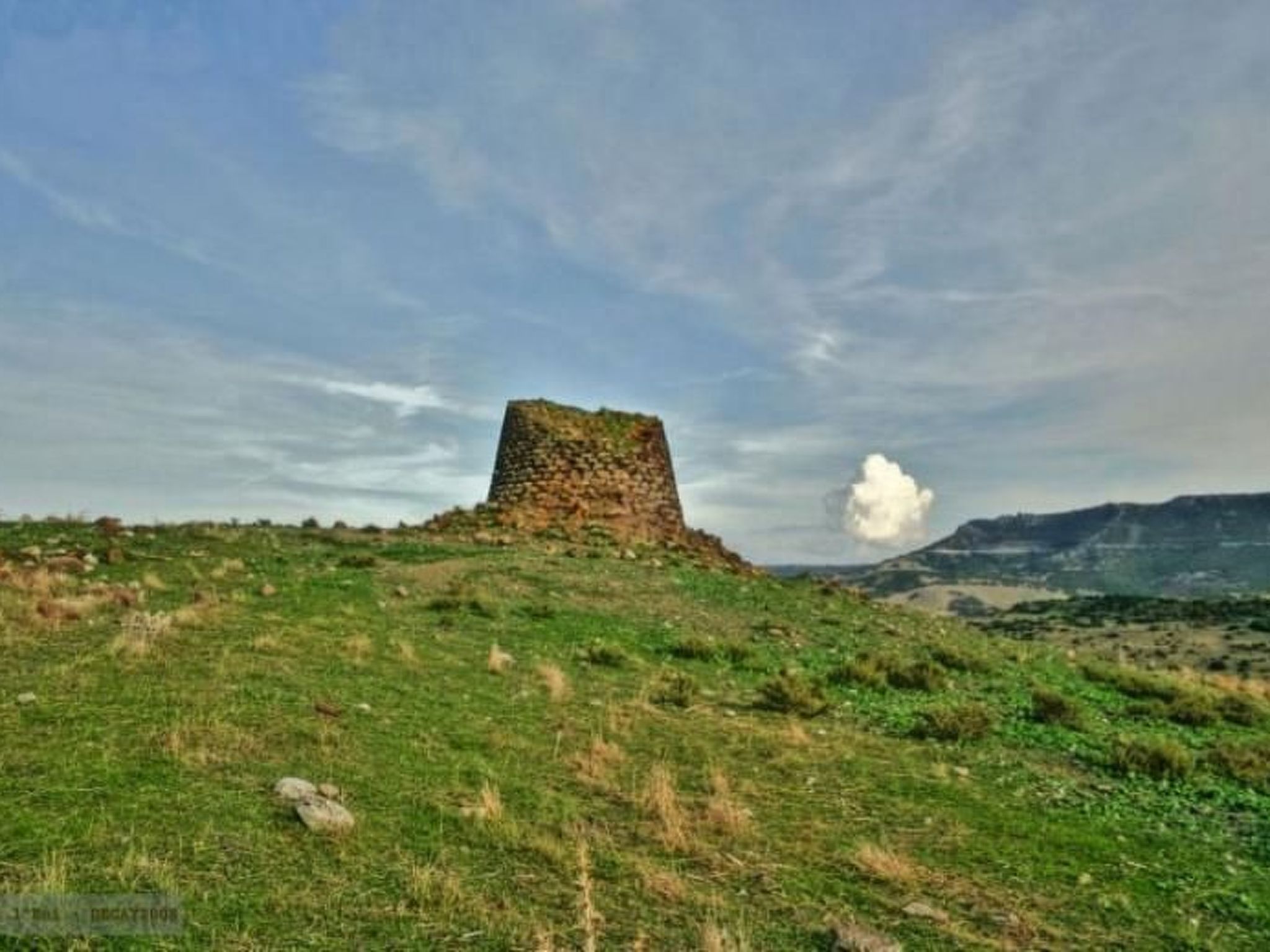 'Magnolie-Image-tags.info