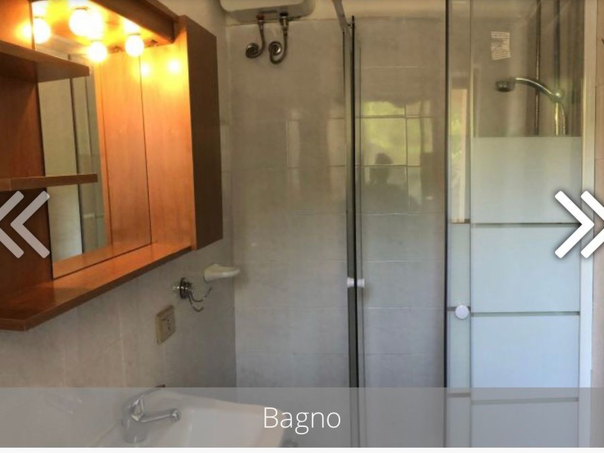 'Magnolie-Image-tags.info