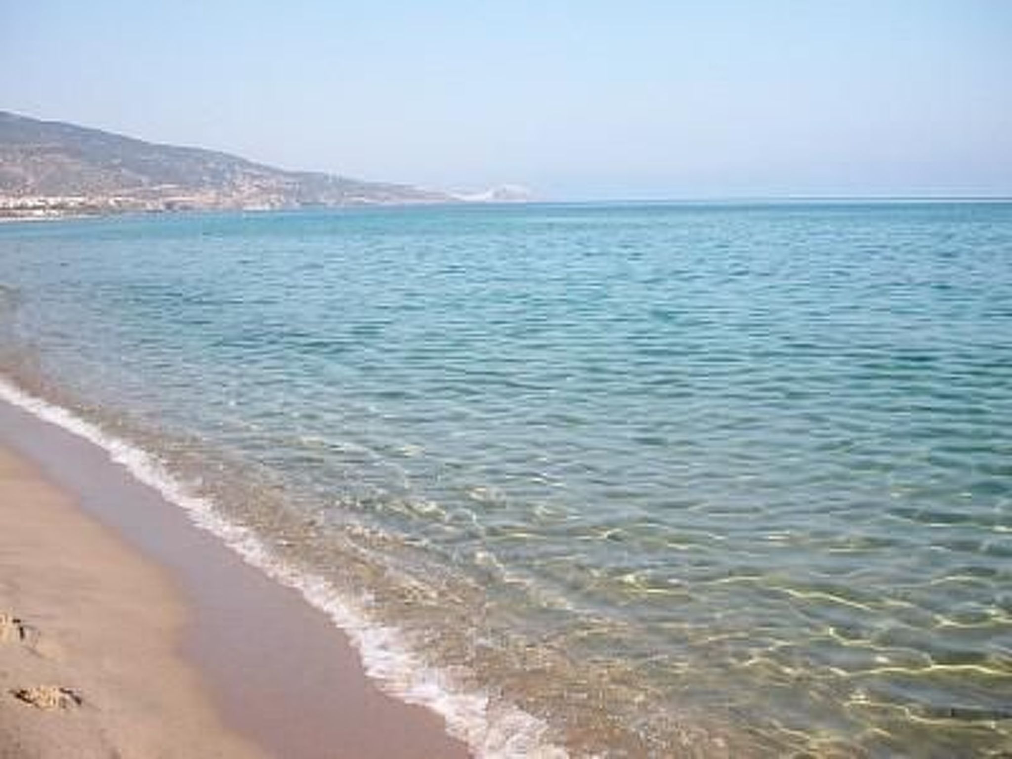 'Magnolie-Image-tags.info