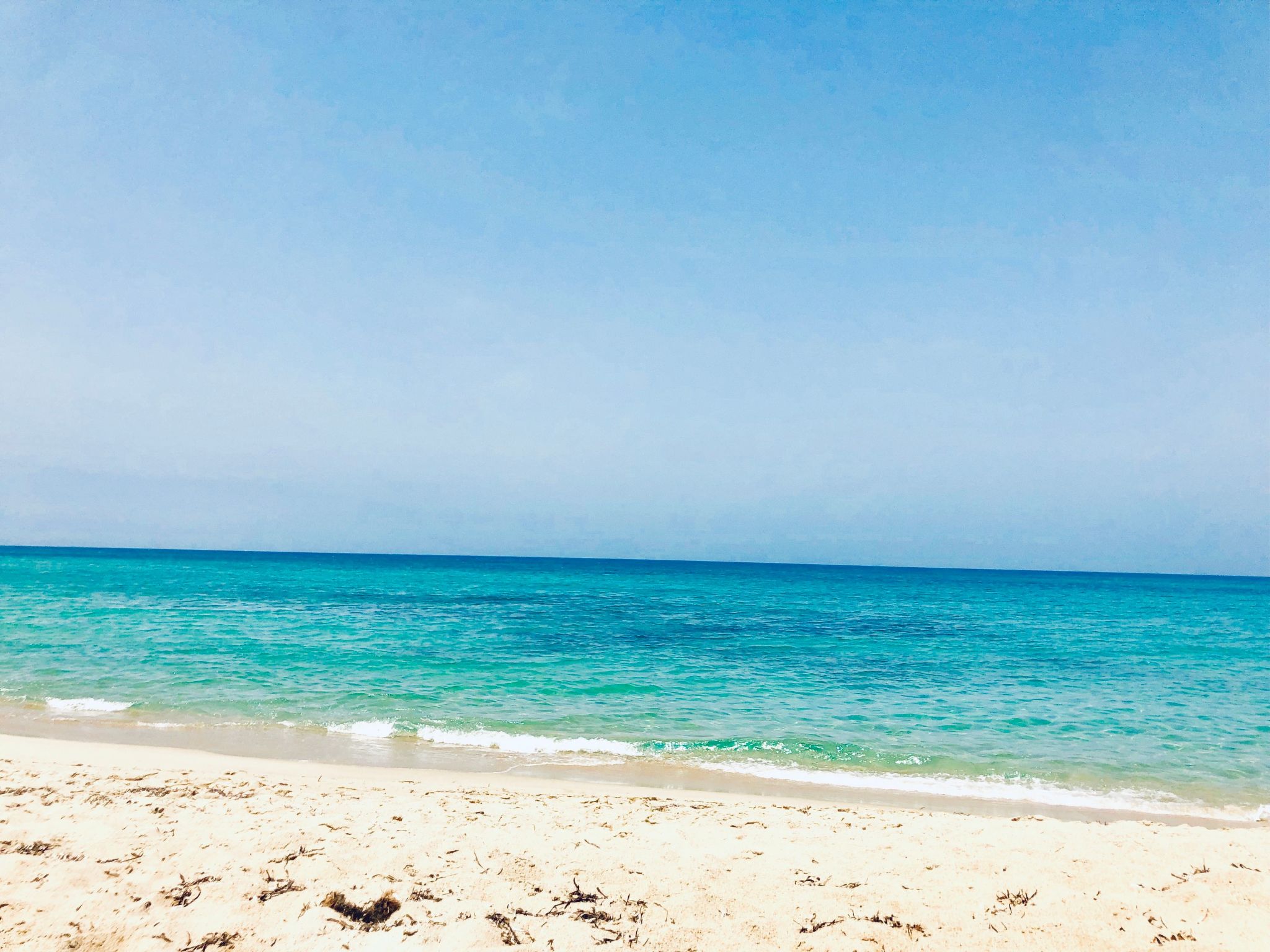 'Magnolie-Image-tags.info