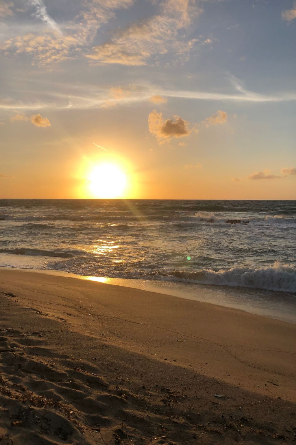 'Magnolie-Image-tags.info