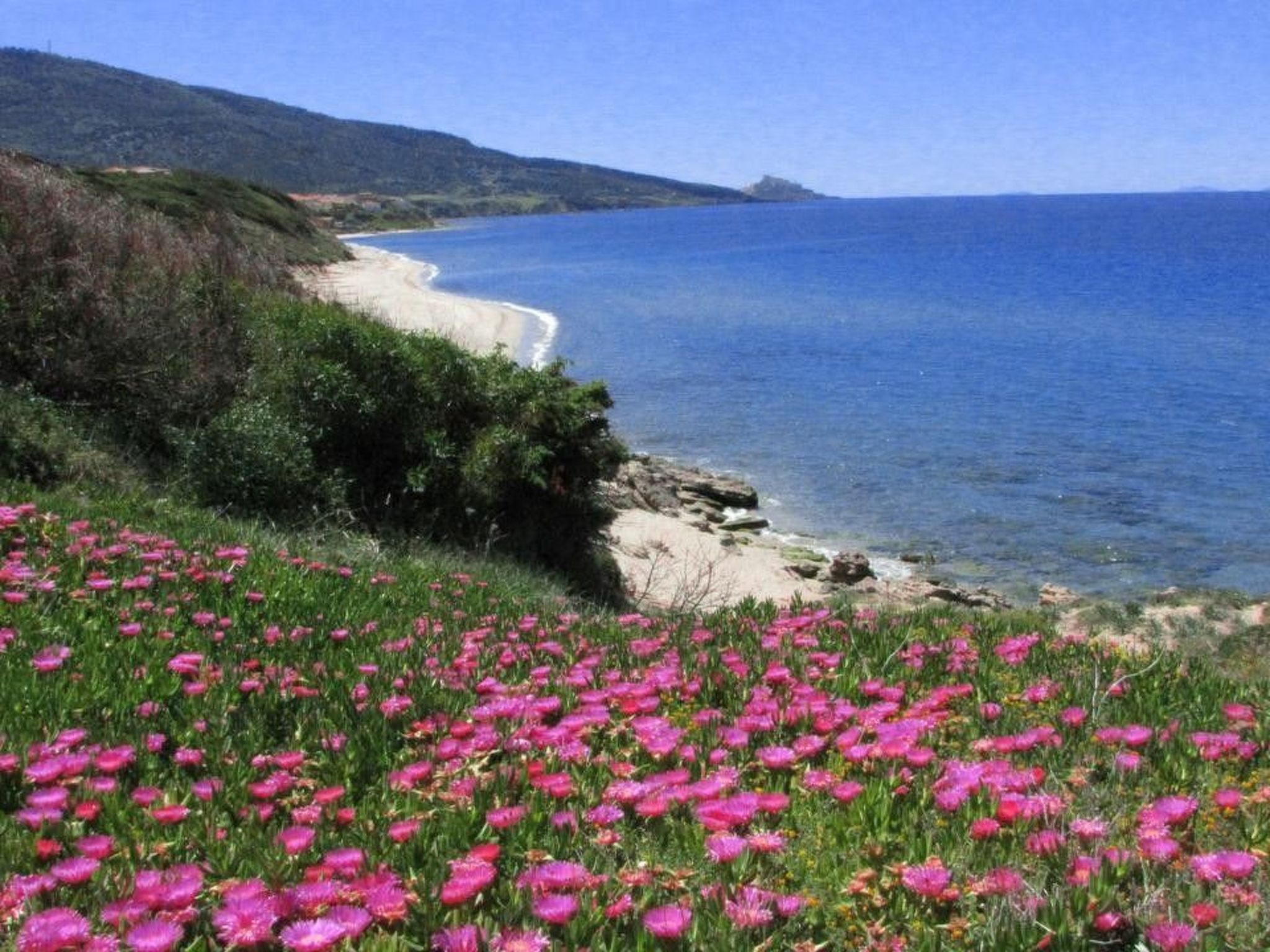 Photo of Schöne und private Wohnung am Meer