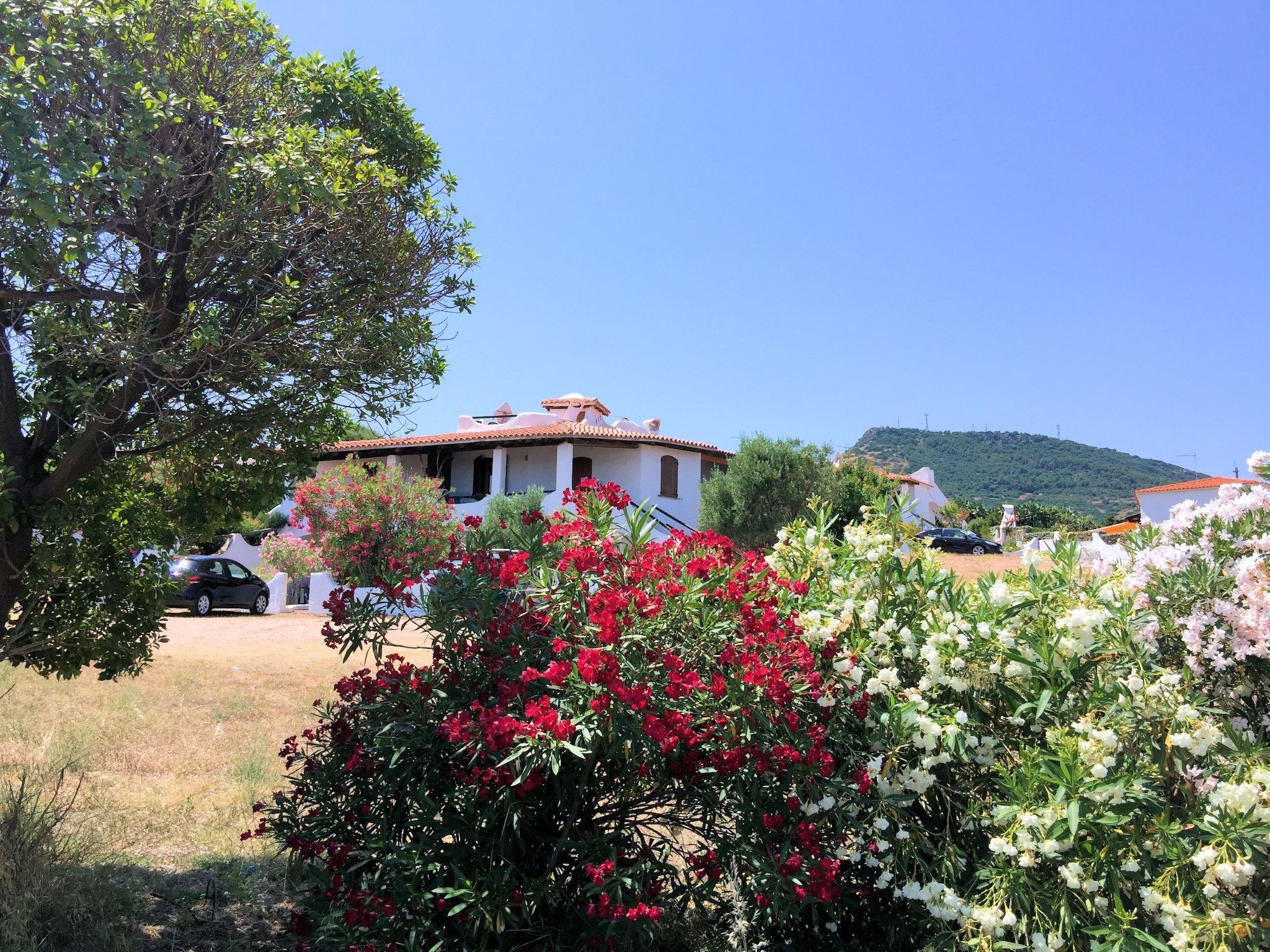 The very beautiful, Mediterranean-style holiday homes "Sa Fiorida", quietly situated in a wonderful landscape, are located in the village of La Ciaccia (Valledoria) in the centre of the north coast ne..