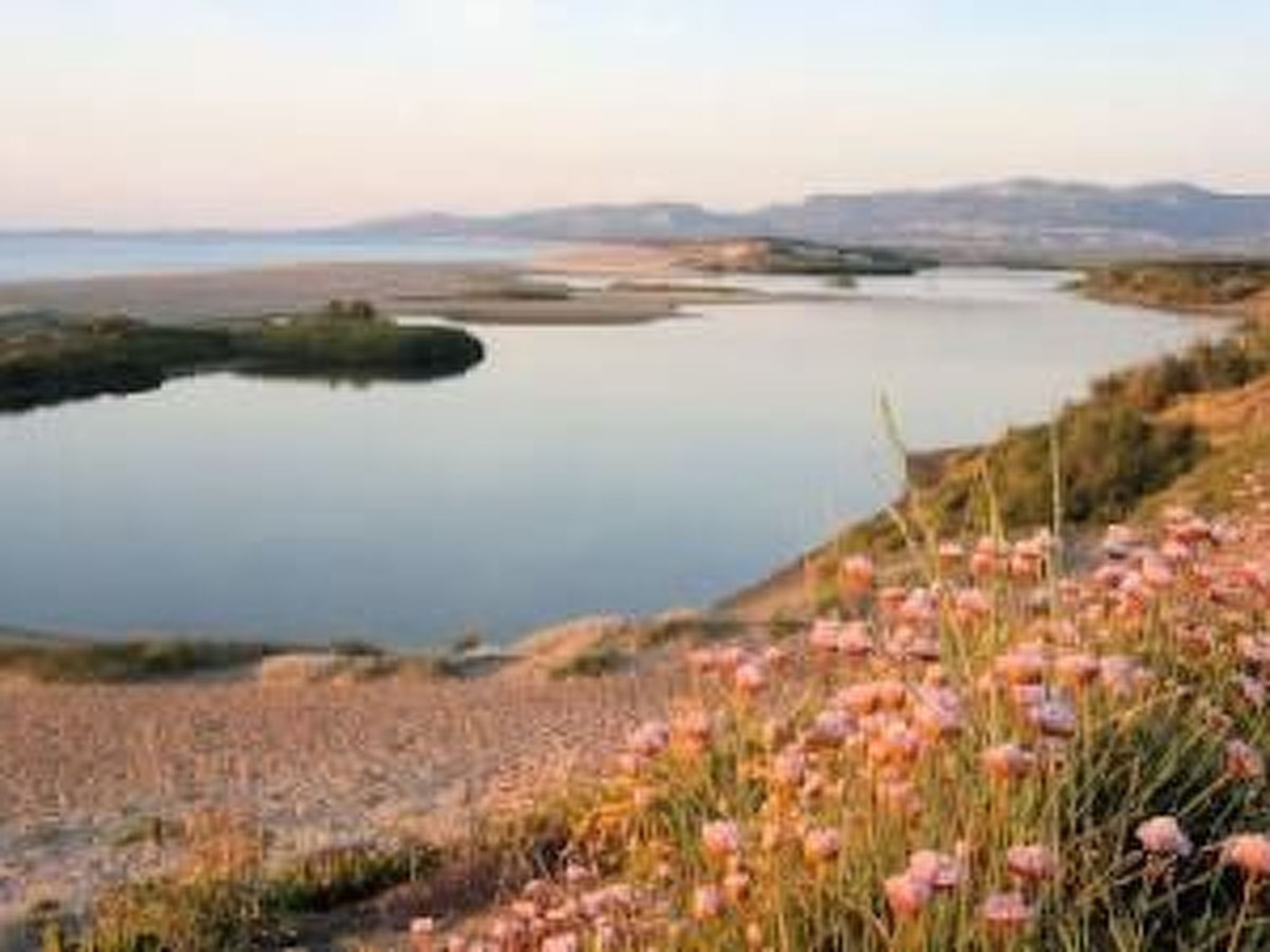 Sa Fiorida - Angela-Image-tags.info