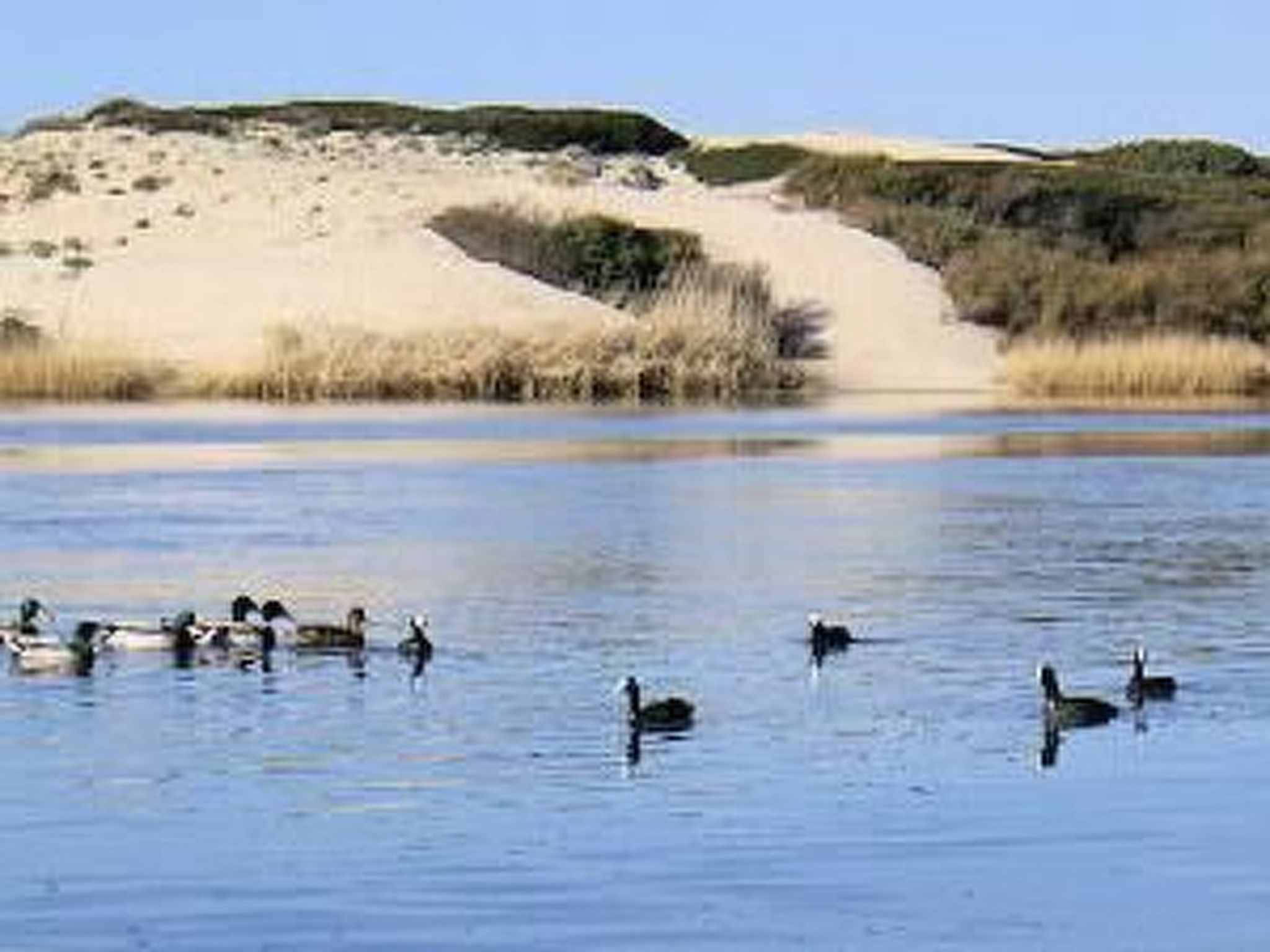 Sa Fiorida Alice III-Binnen