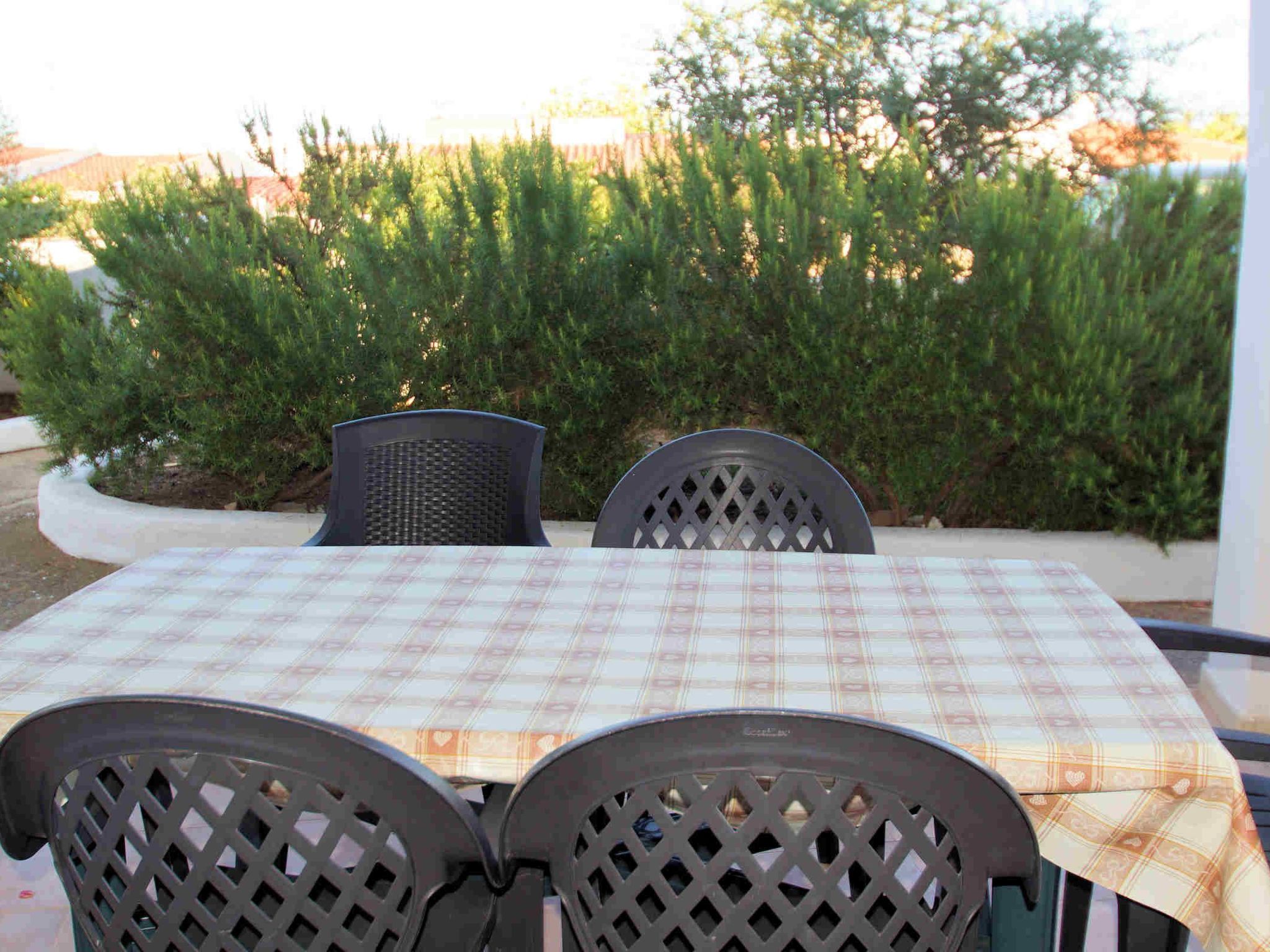 Sa Fiorida - Rubinia-Image-tags.info