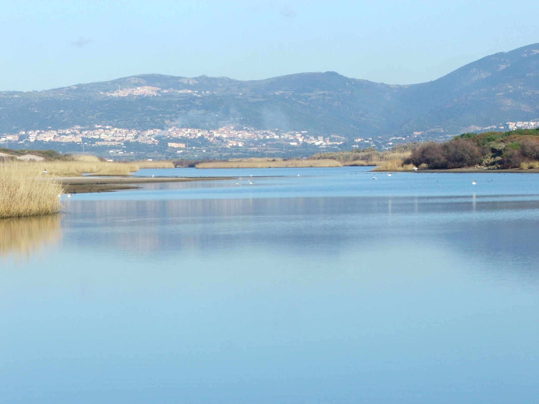 Oleandri-Omgeving