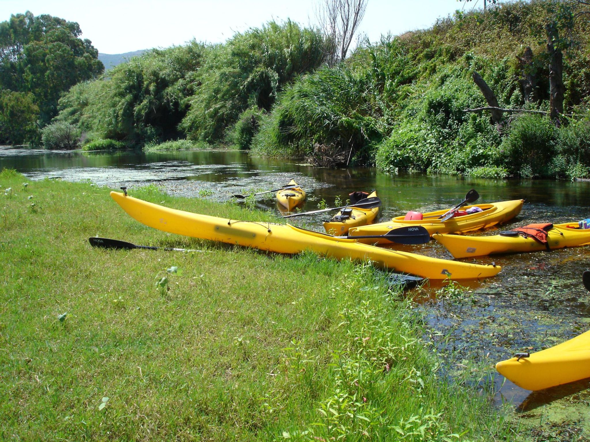 Photo of Sa Fiorida Milli II