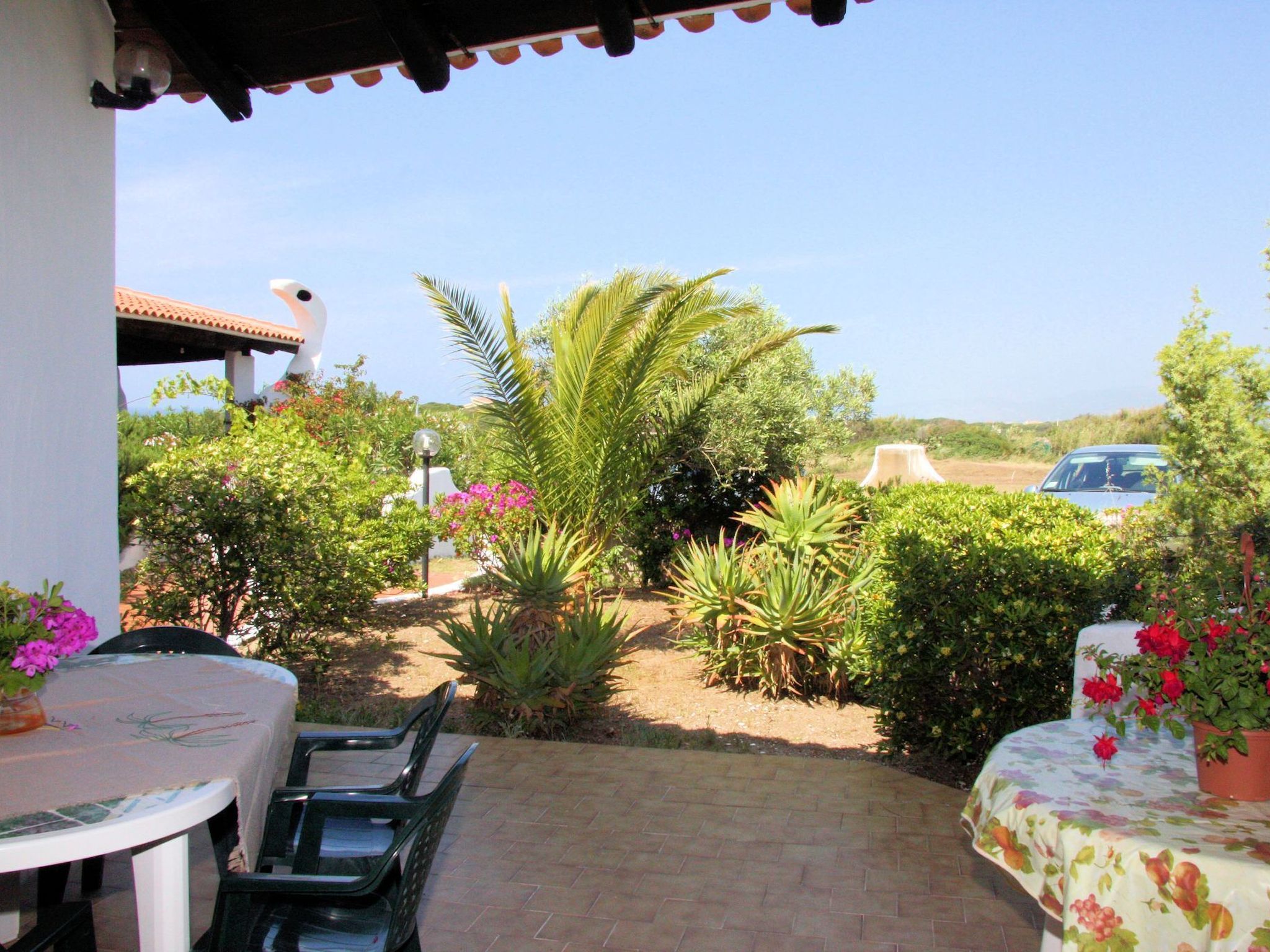 Photo of Sa Fiorida C plus